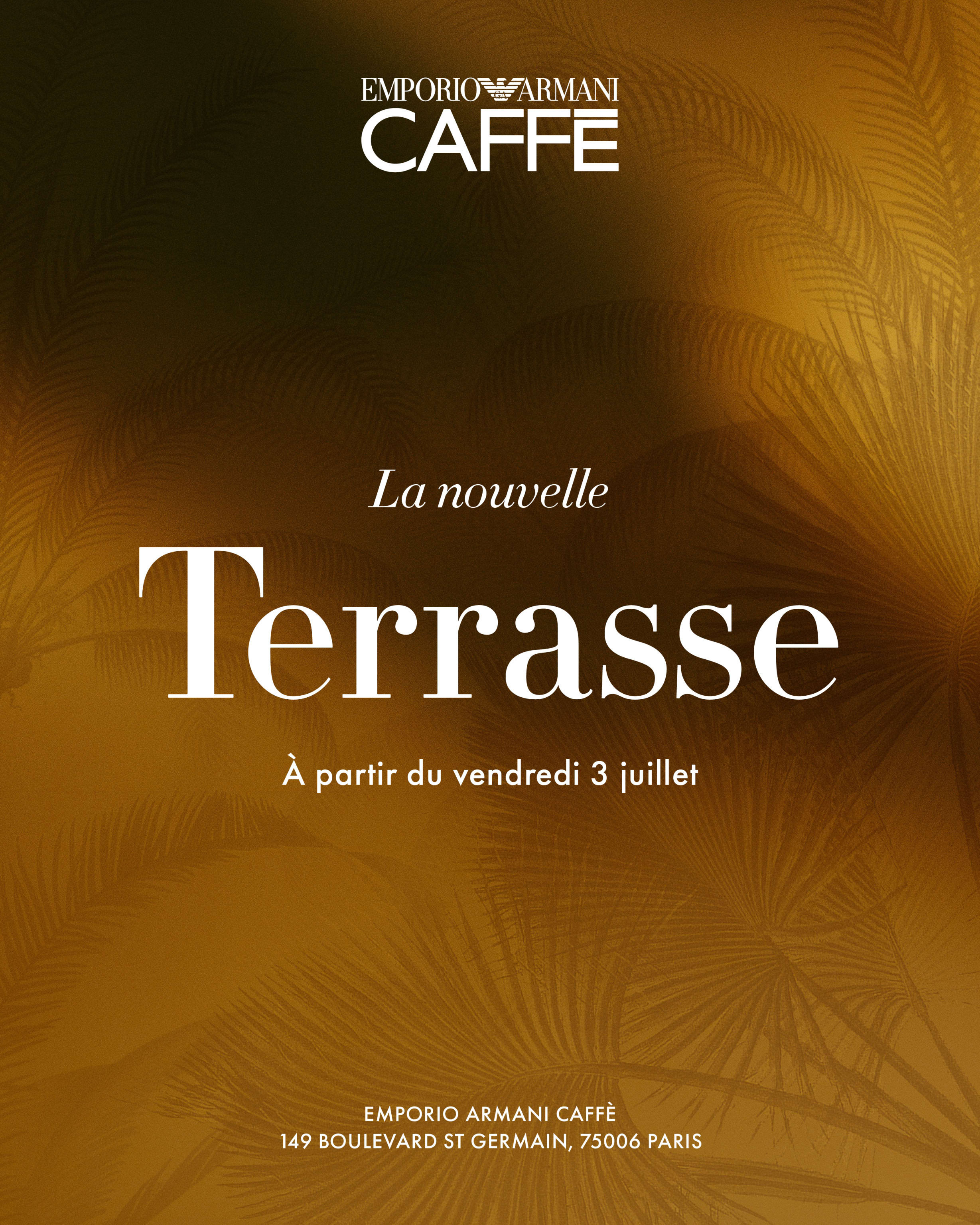 Visual Terrace