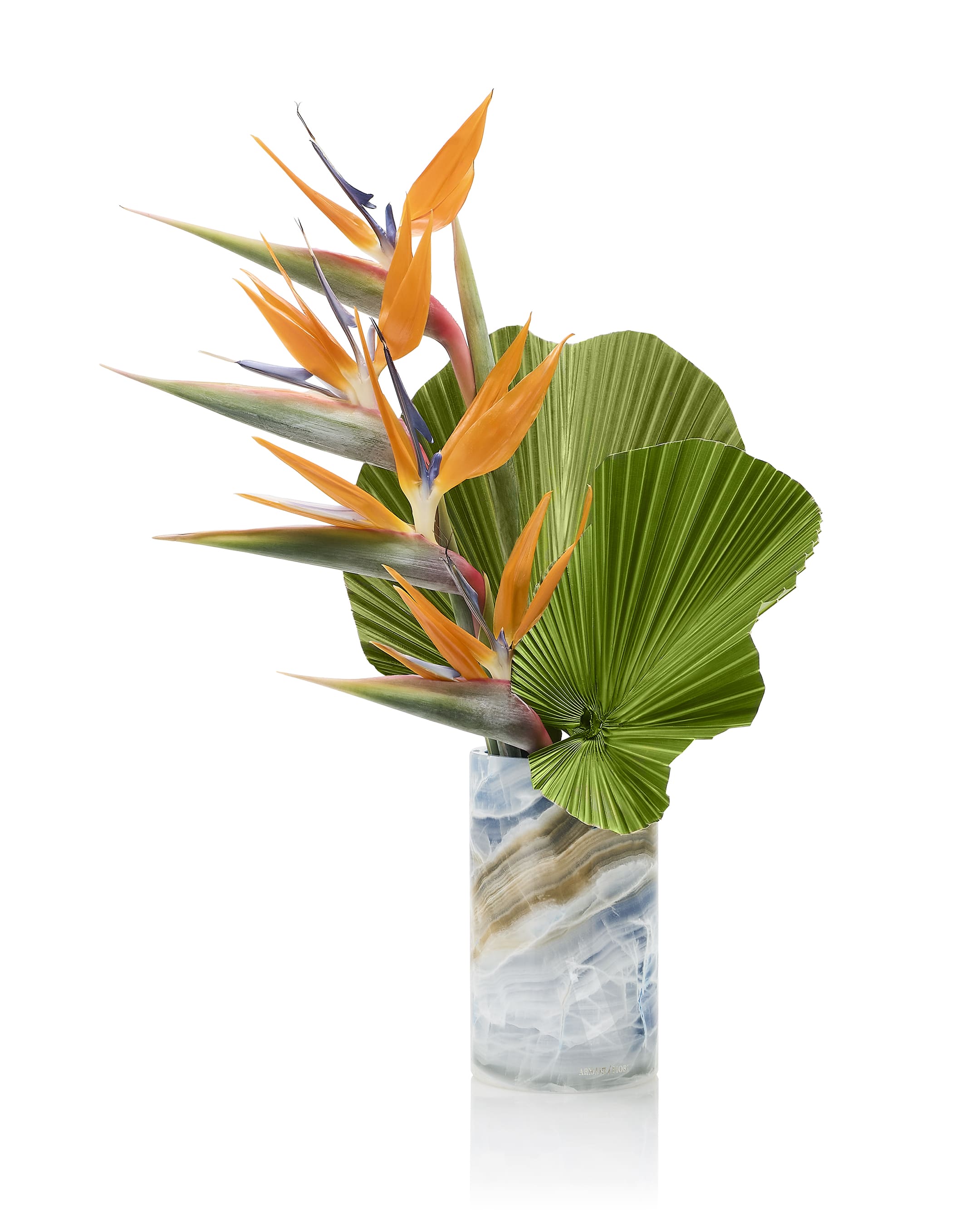Strelitzia