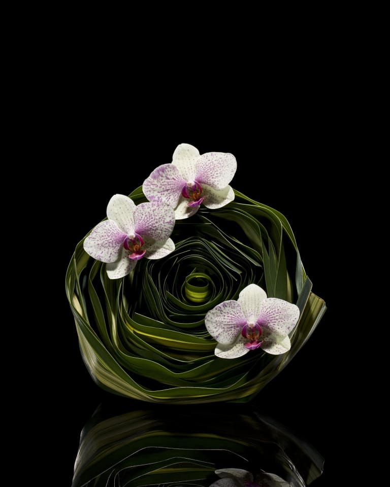 Photograph of a floral arrangement with flowers and plants located on a black table with a solid-coloured background
