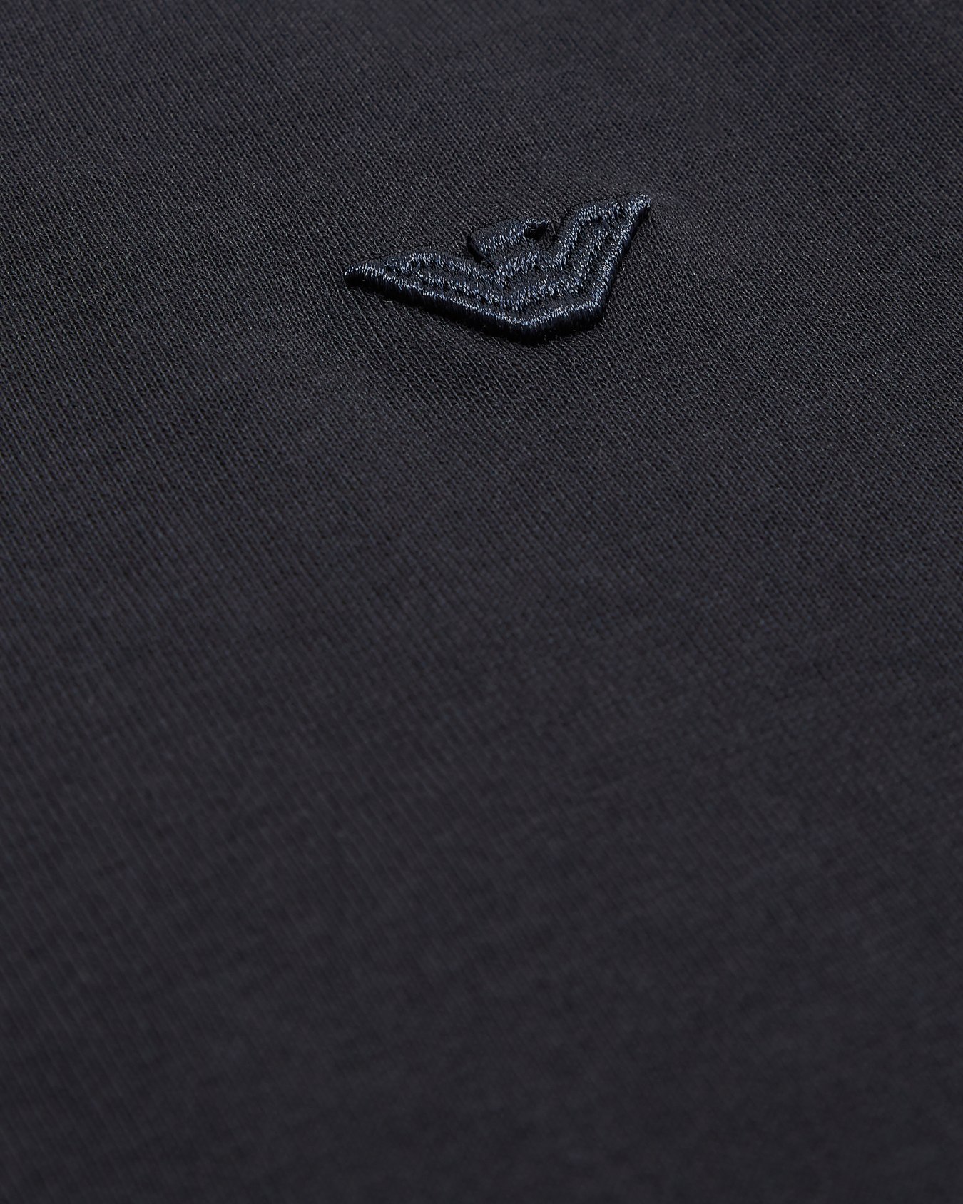 Heavyweight jersey T-shirt with micro eagle Slide 1