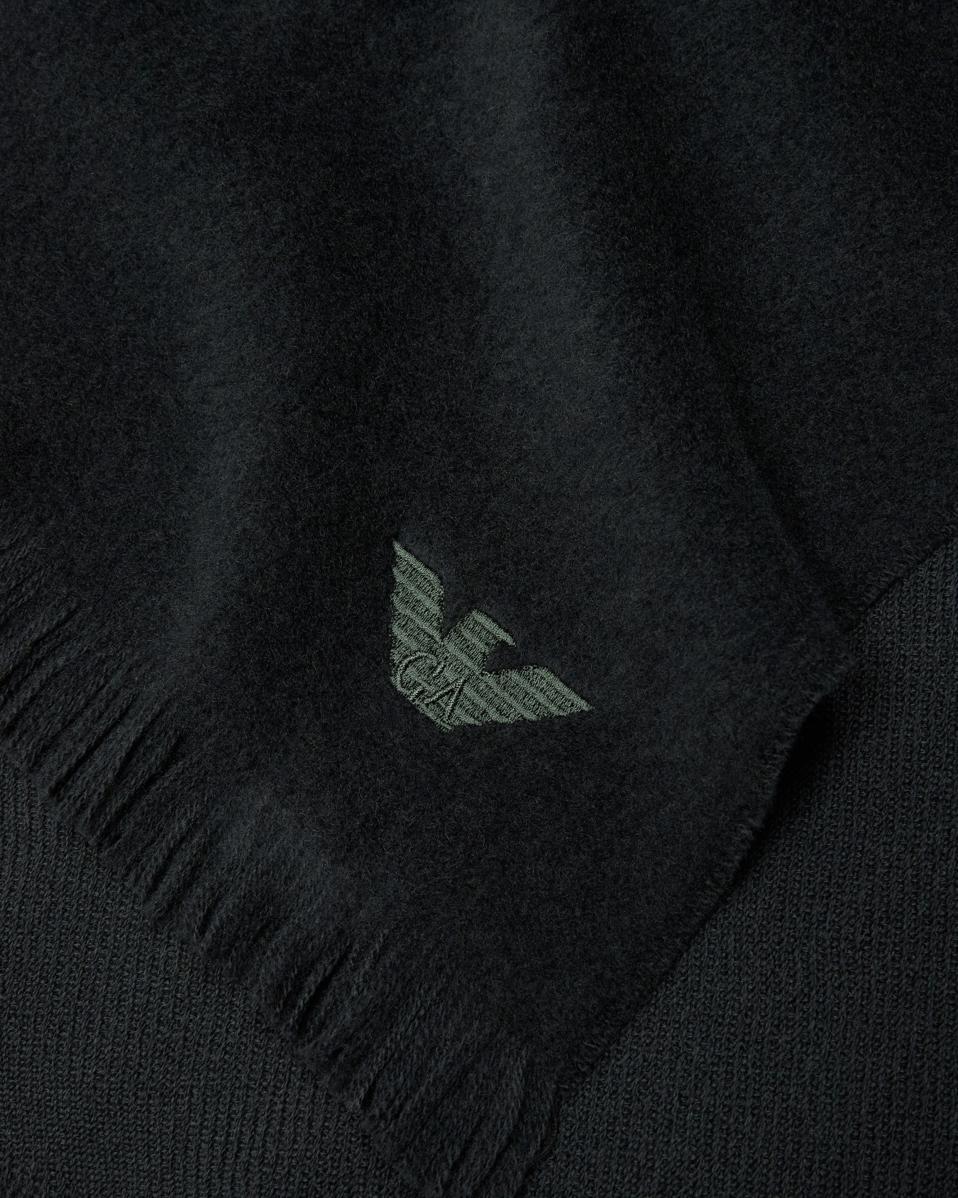 Écharpe en laine vierge avec broderie micro-aigle Diapositive 1