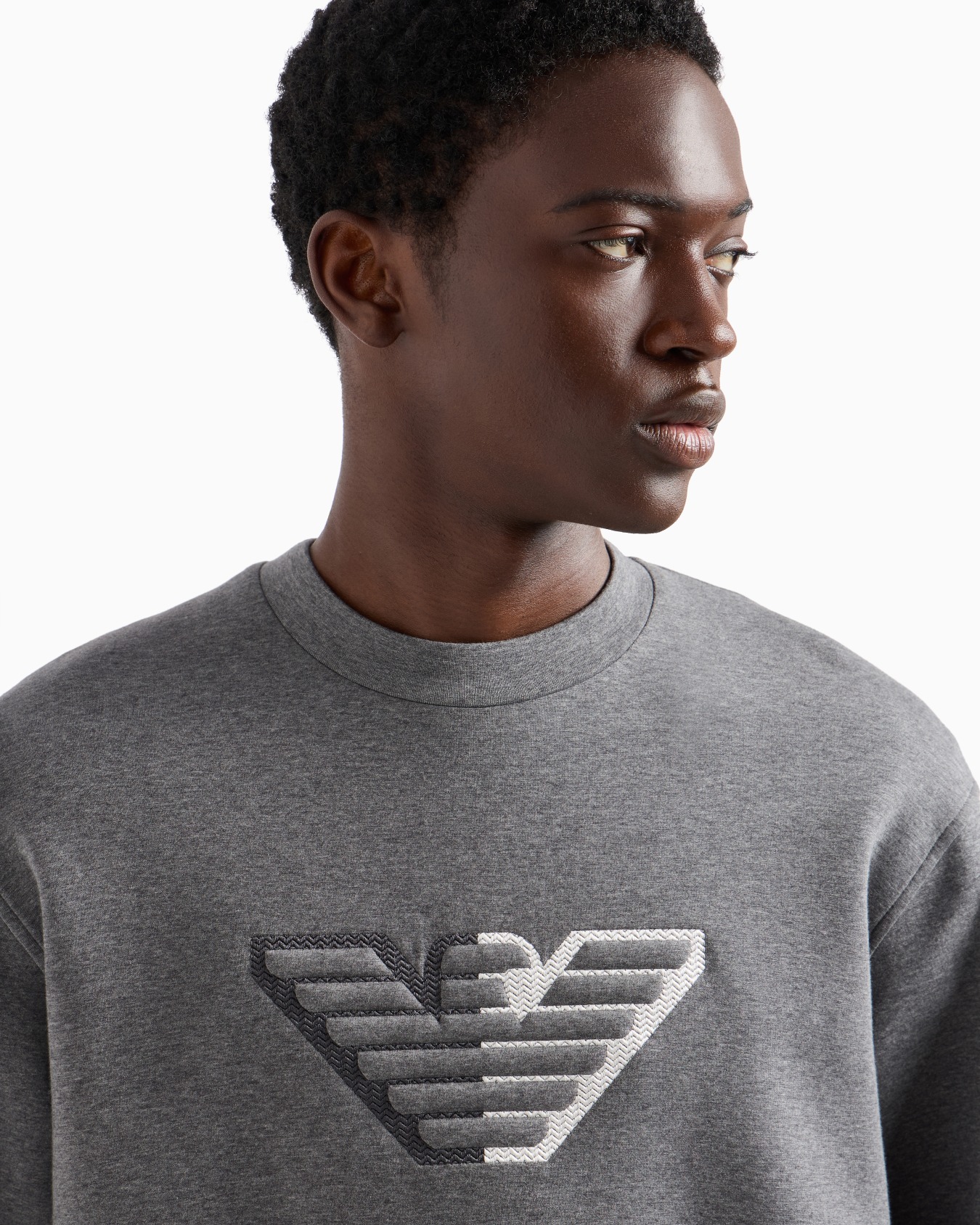 Double-jersey sweatshirt with embossed oversized eagle on a chevron background Slide 4