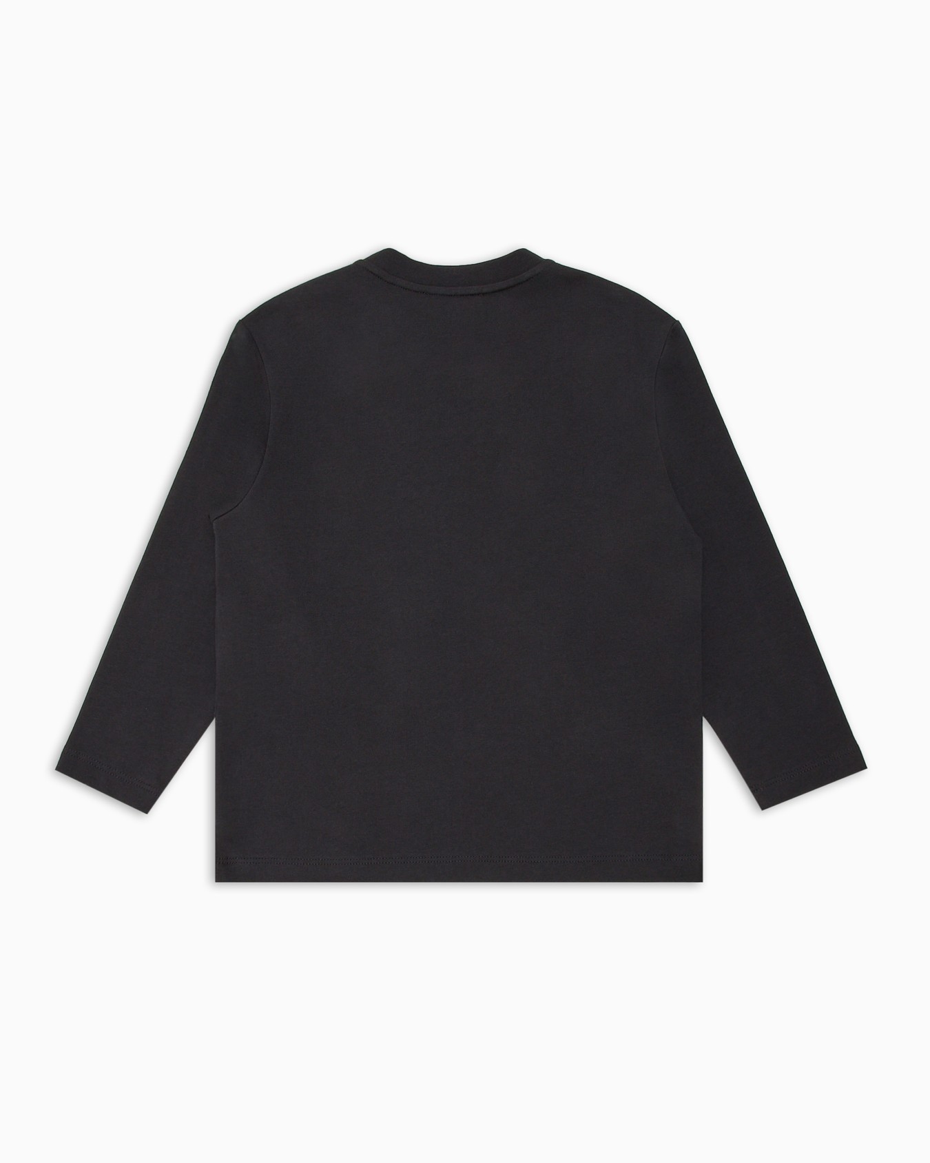 Pull en jersey surdimensionné avec grand aigle ASV brodé Diapositive 2
