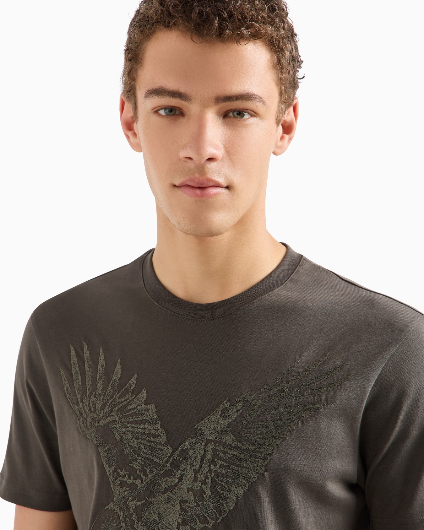 Regular fit T-shirt with eagle embroidery in ASV jersey Slide 4