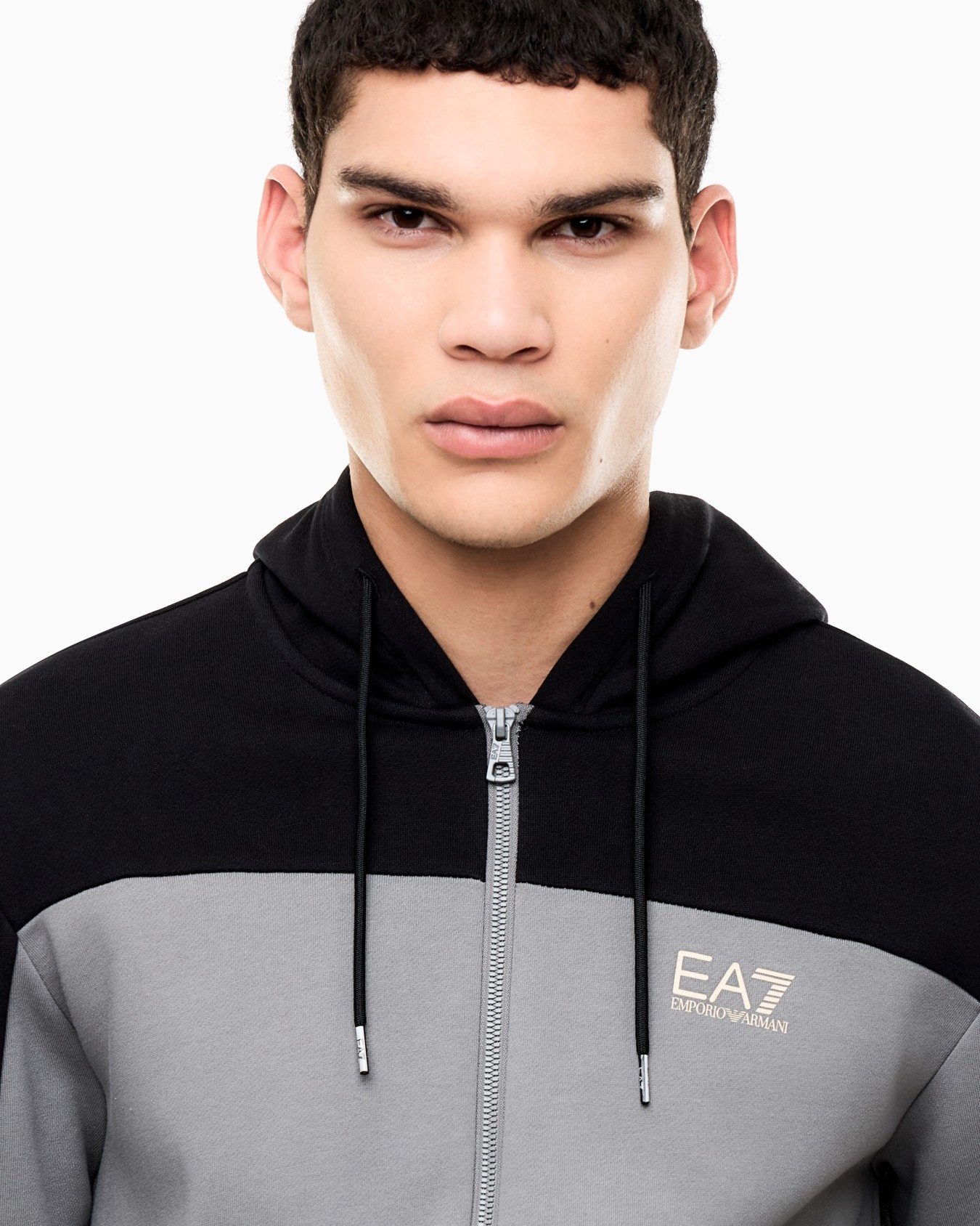 Regular fit jersey hoodie in cotton with full zip Slide 5