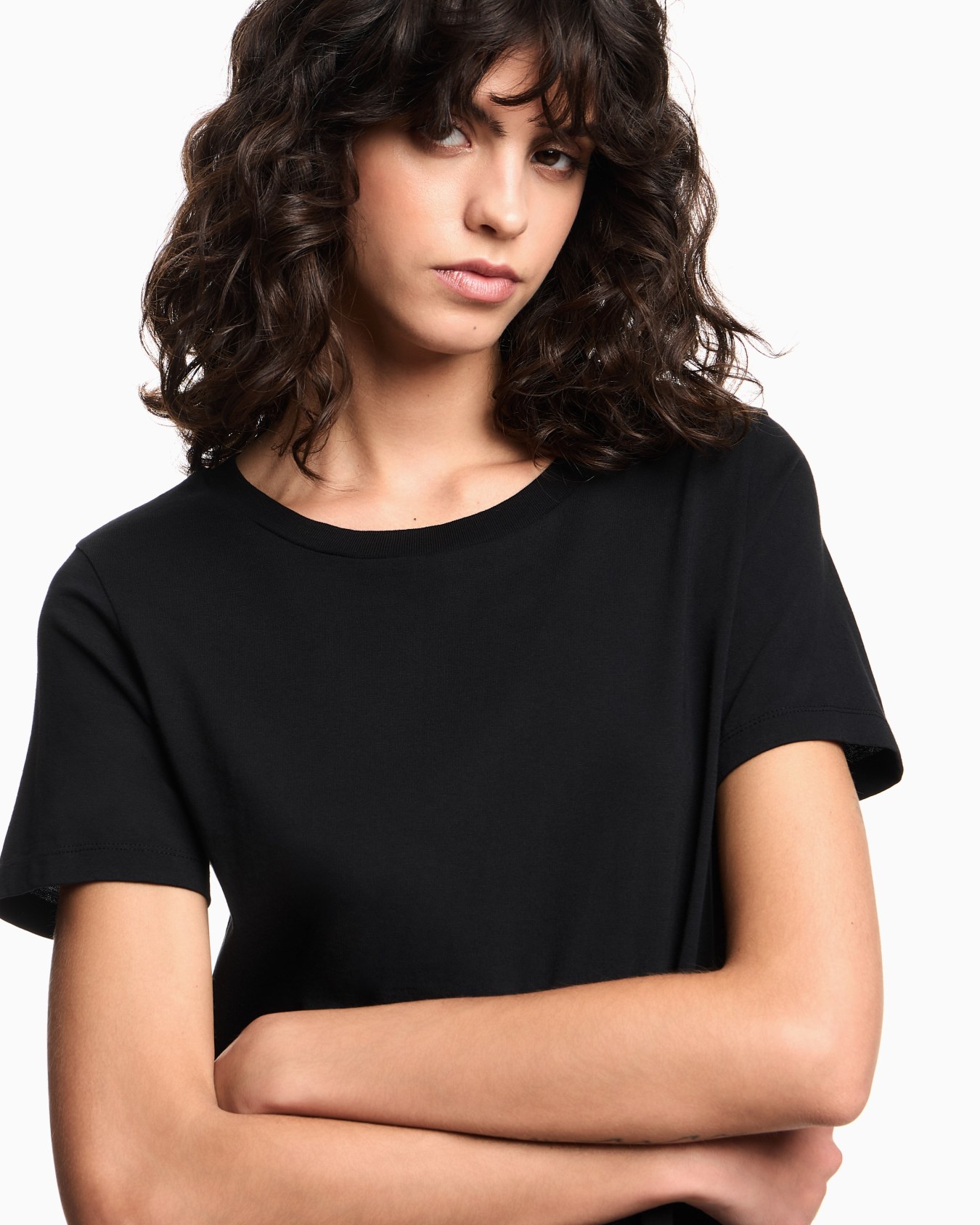 Tシャツ ピマジャージー スライドする 4