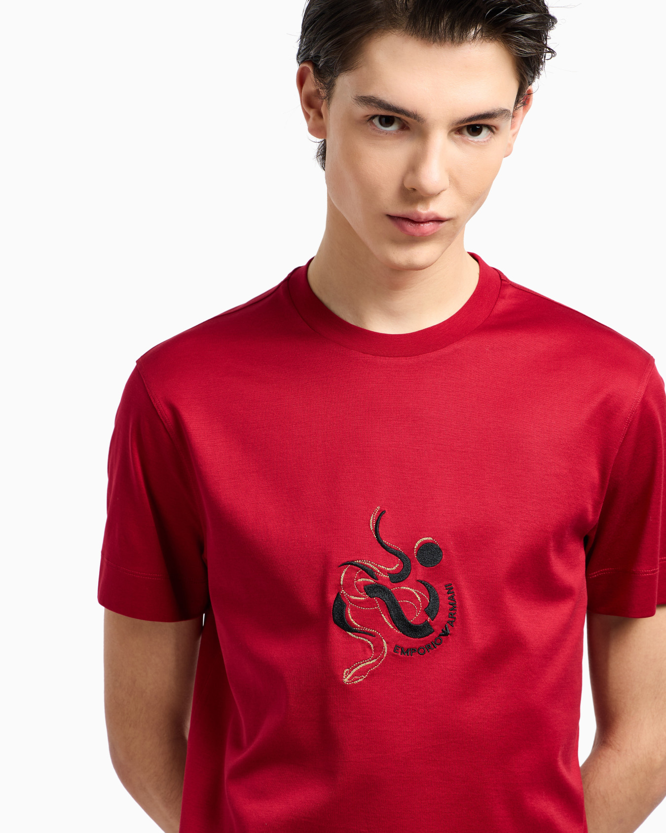 ASV Lyocell blend jersey T-shirt with embroidery Slide 5