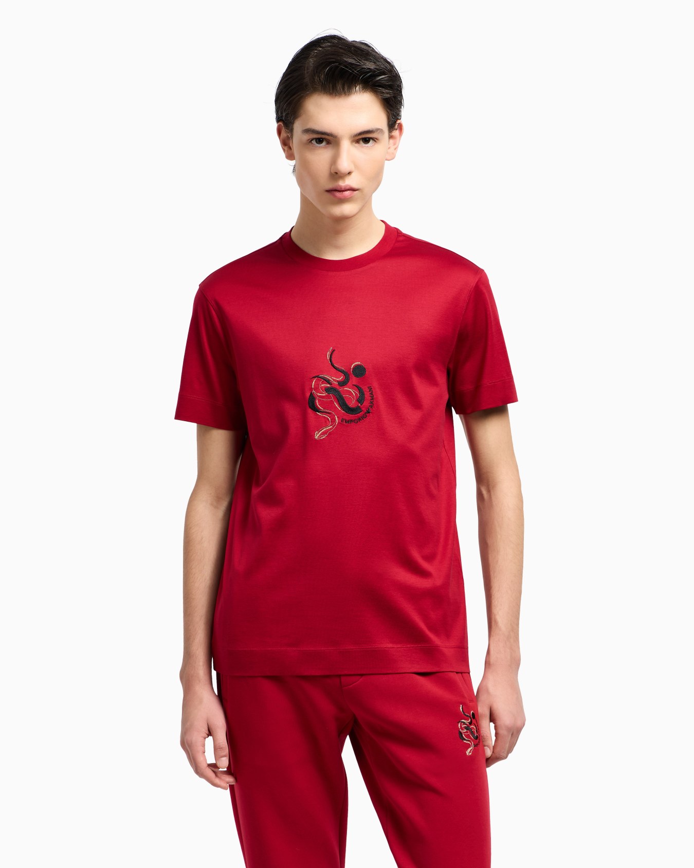 ASV Lyocell blend jersey T-shirt with embroidery Slide 4