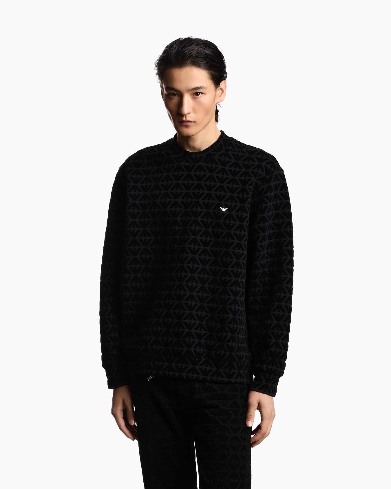 Lunar New Year all-over flock eagle double jersey sweatshirt Slide 3