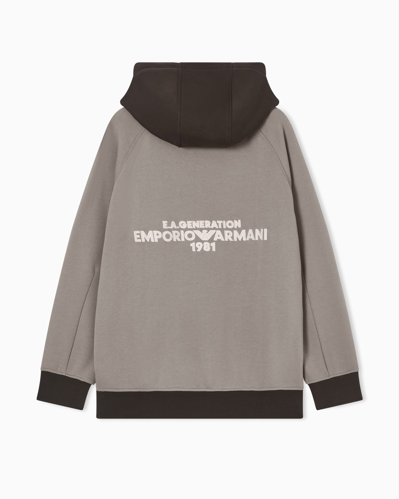 Oversized hoodie in frrech terry jersey with EA Generation embroidery スライドする 2