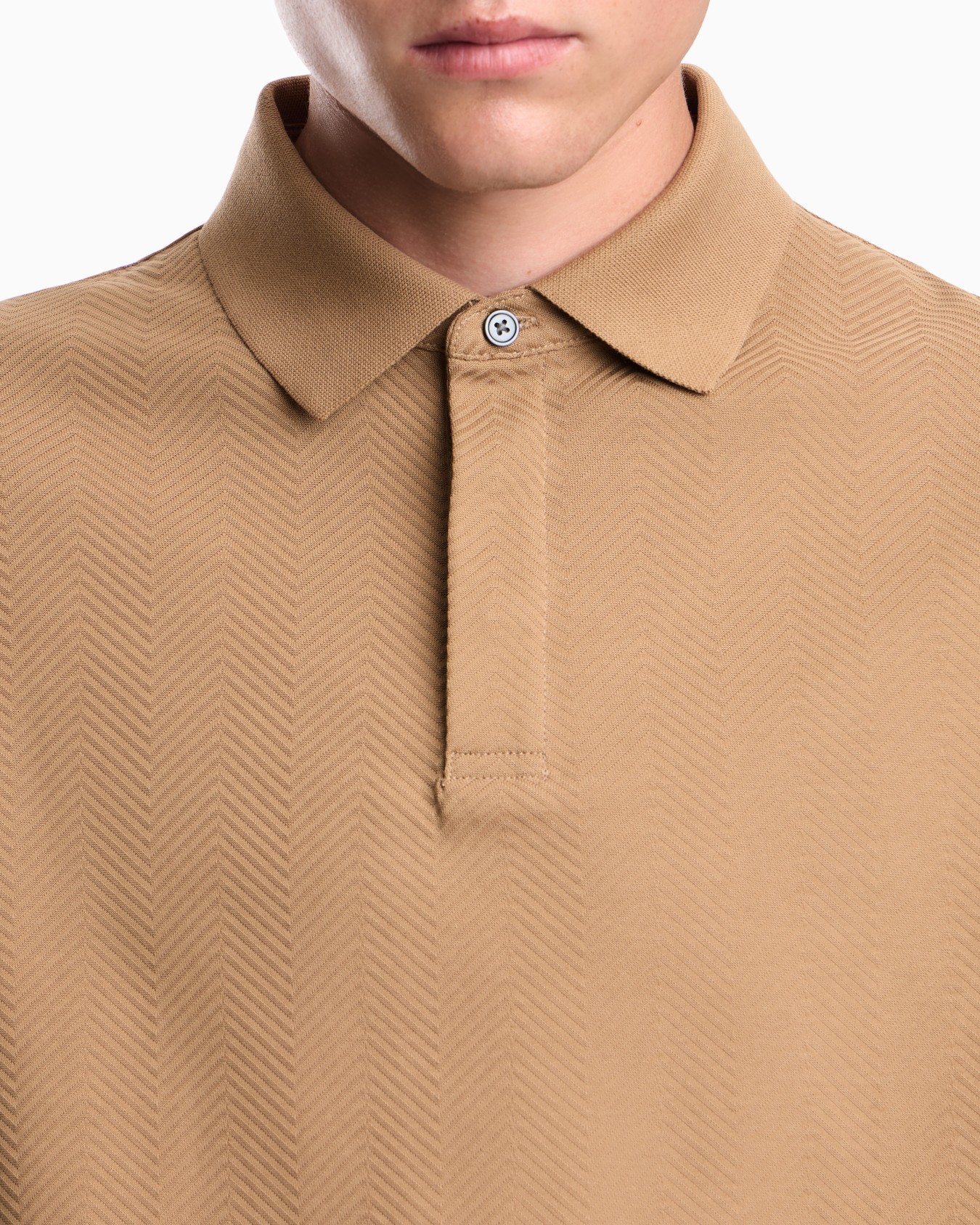 Polo shirt in cotton jacquard jersey with regular fit Slide 6