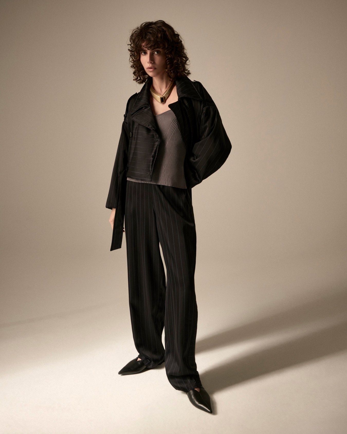 Dawn to Dusk pinstriped acetate-blend trousers Slide 6