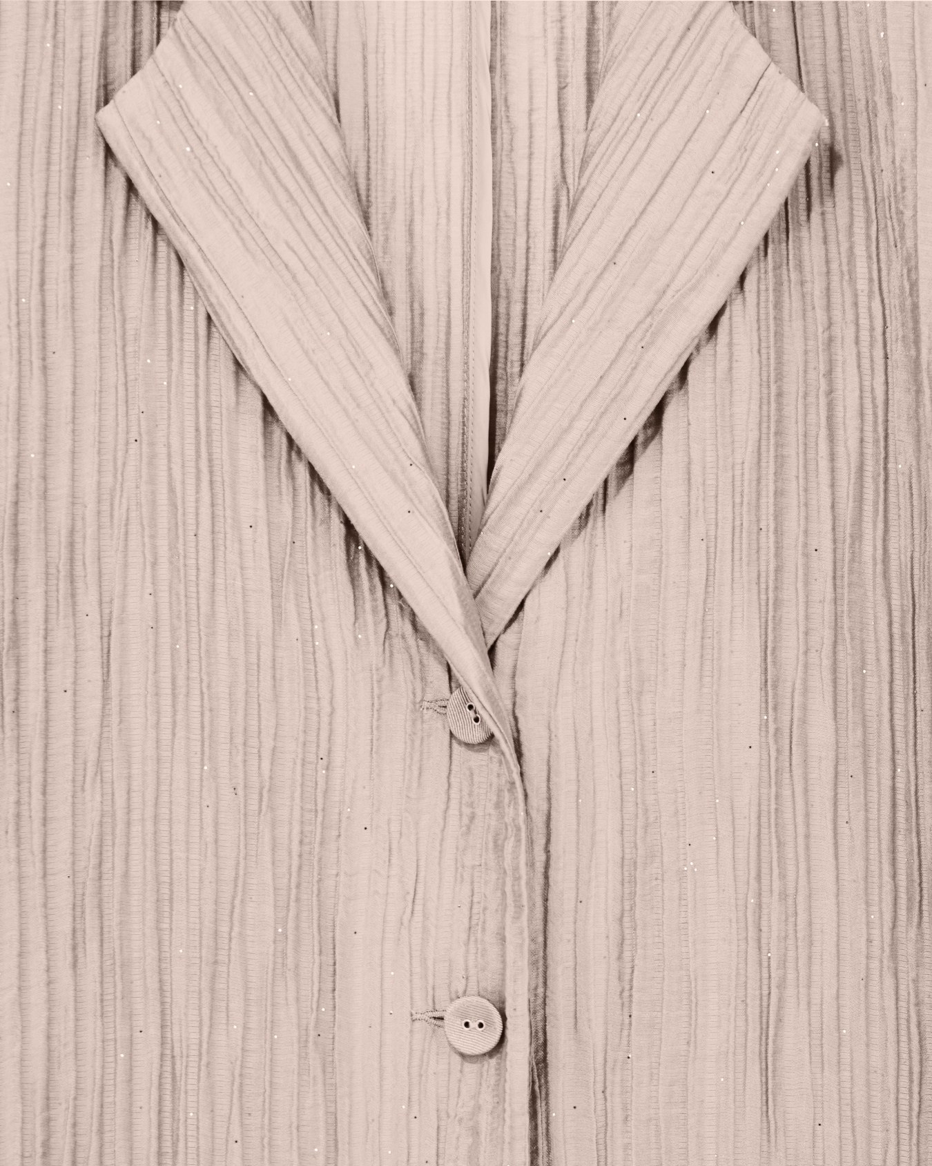 Giacca monopetto in creponne plissé sparkling Slide 4