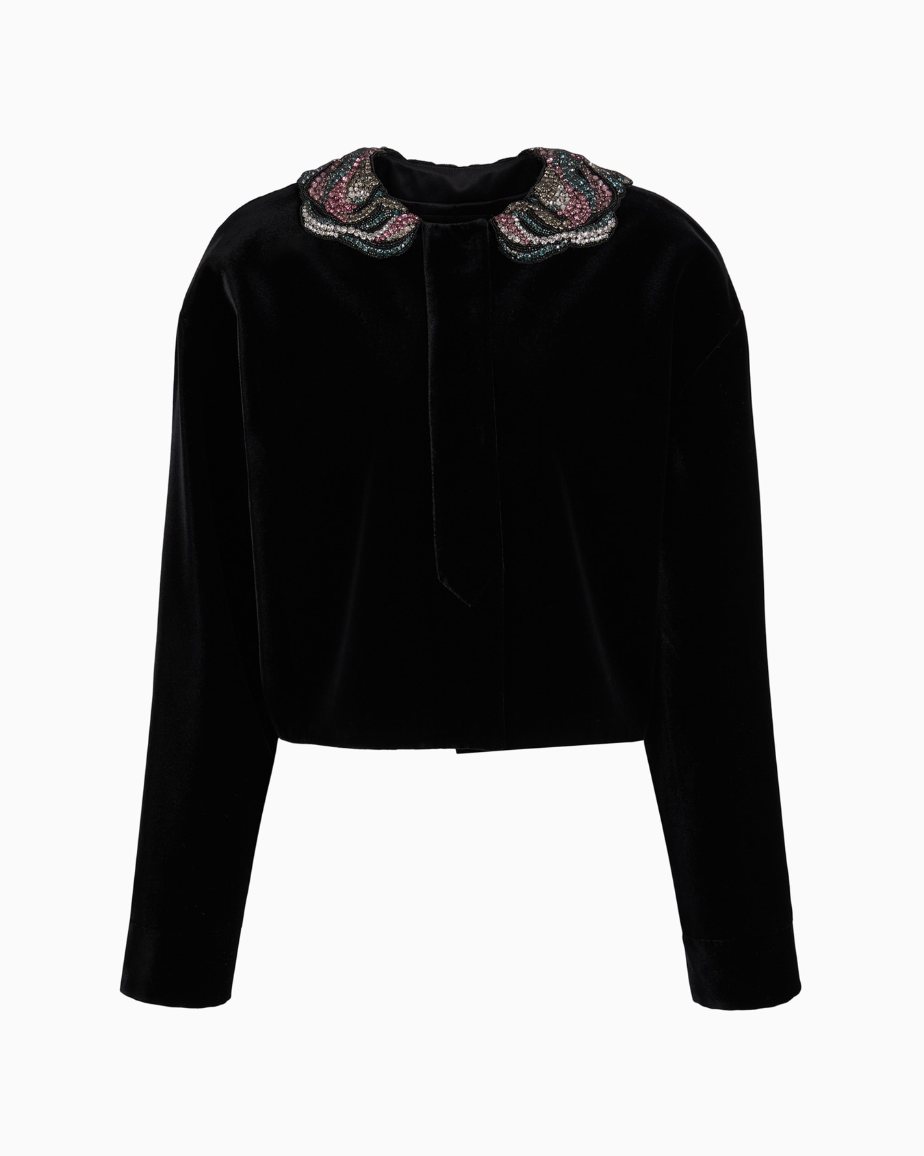 Short velvet jacket with embroidered collar Slide 0
