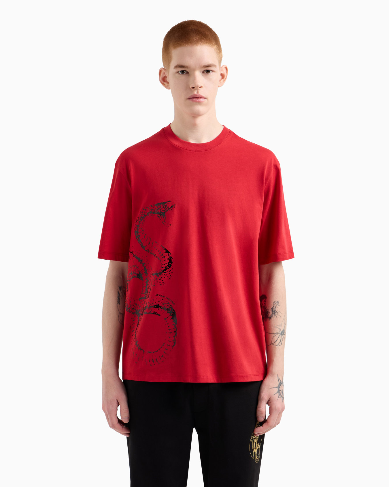 Regular fit jersey t-shirt Slide 4