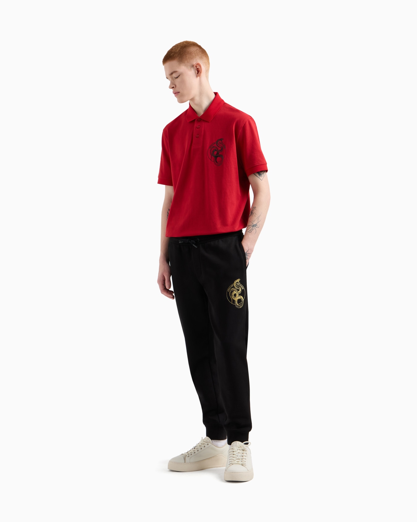 Polo de corte regular de algodón  Diapositive 2