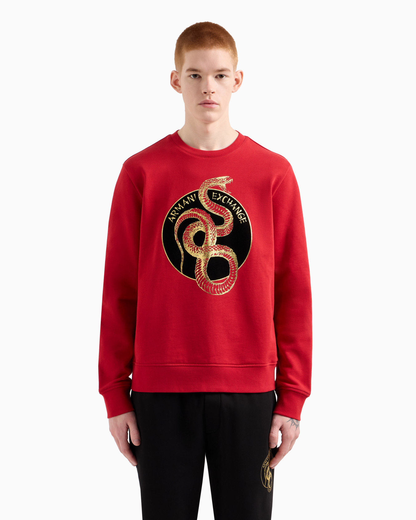 Felpa girocollo con maxi stampa  Diapositiva 4