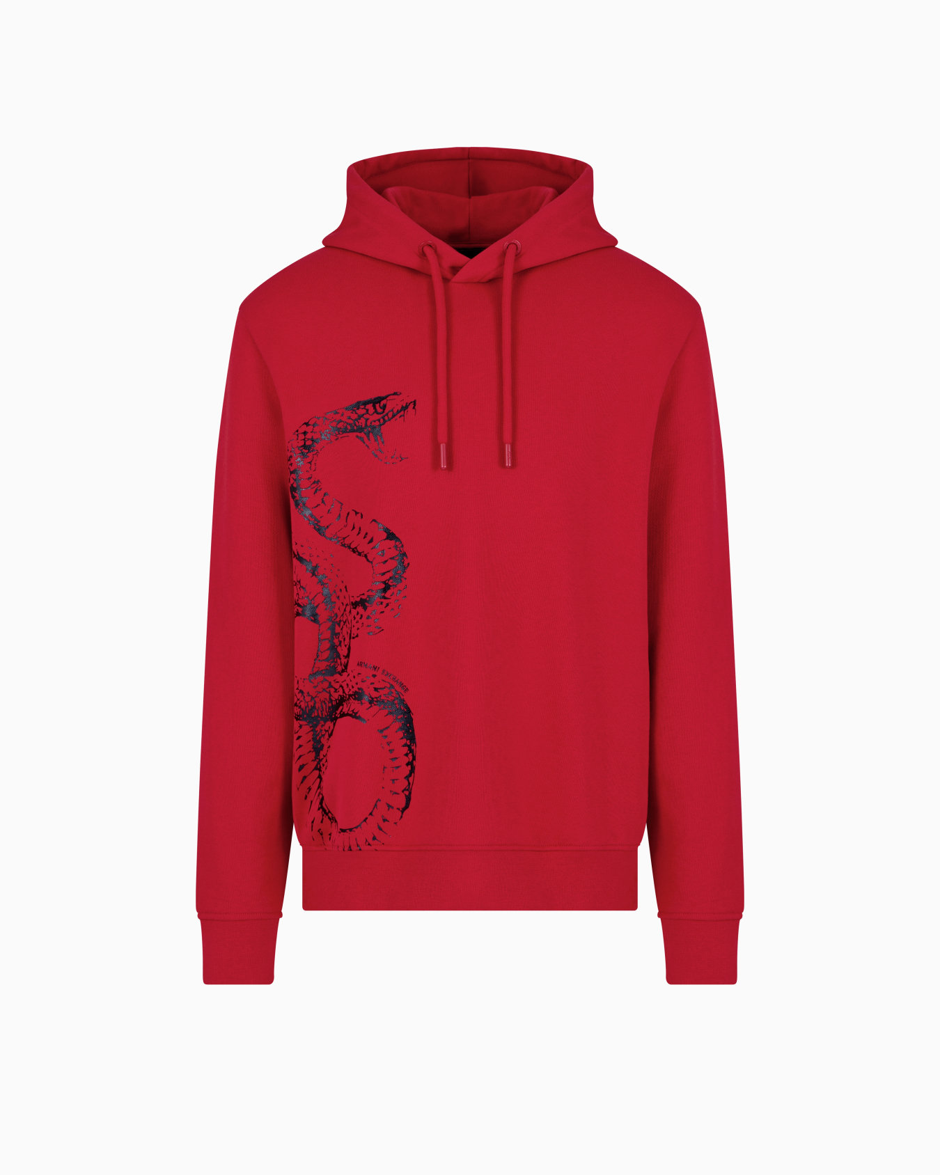 Hoodie with maxi print  Slide 0