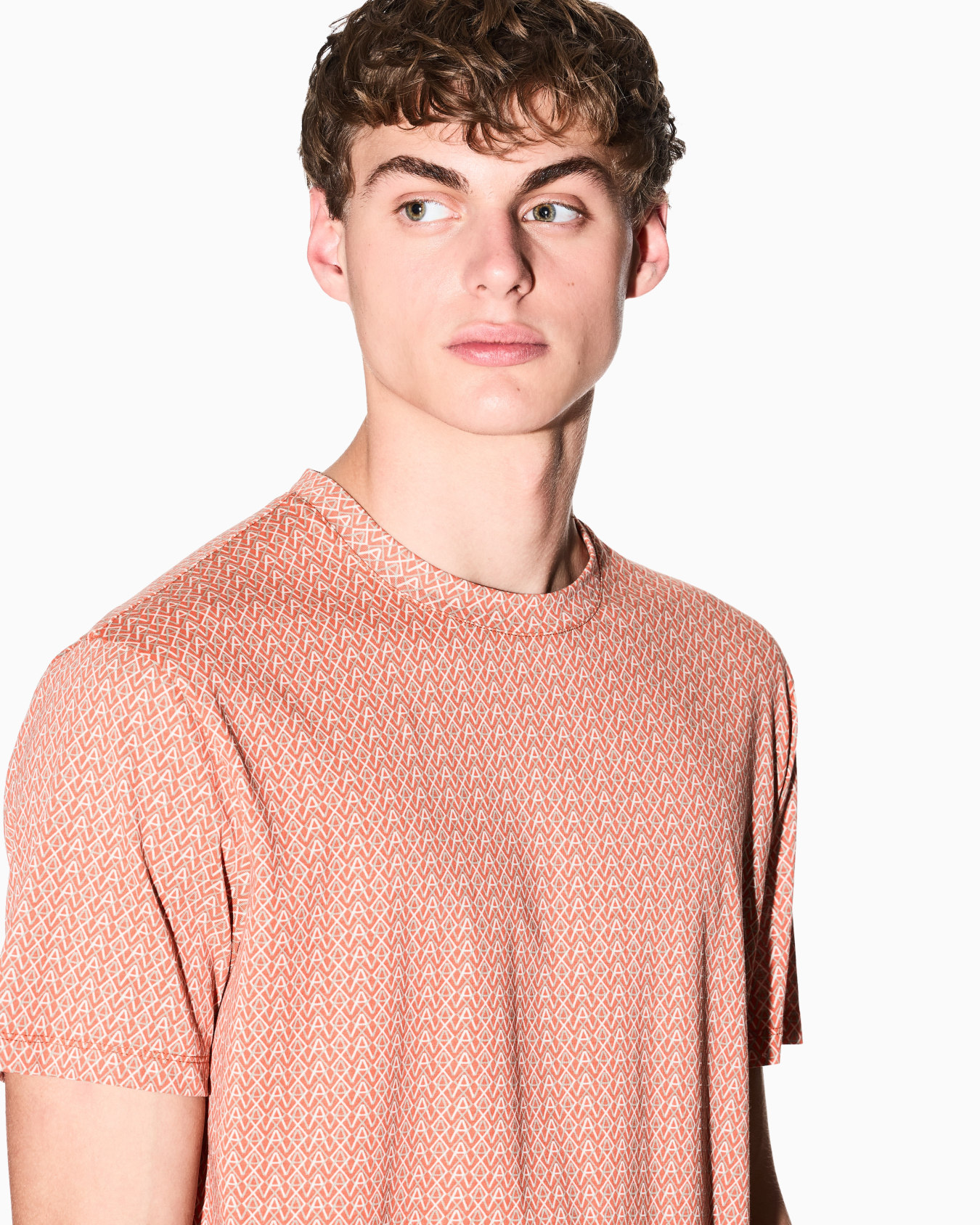 Regular fit cotton T-shirt Slide 4