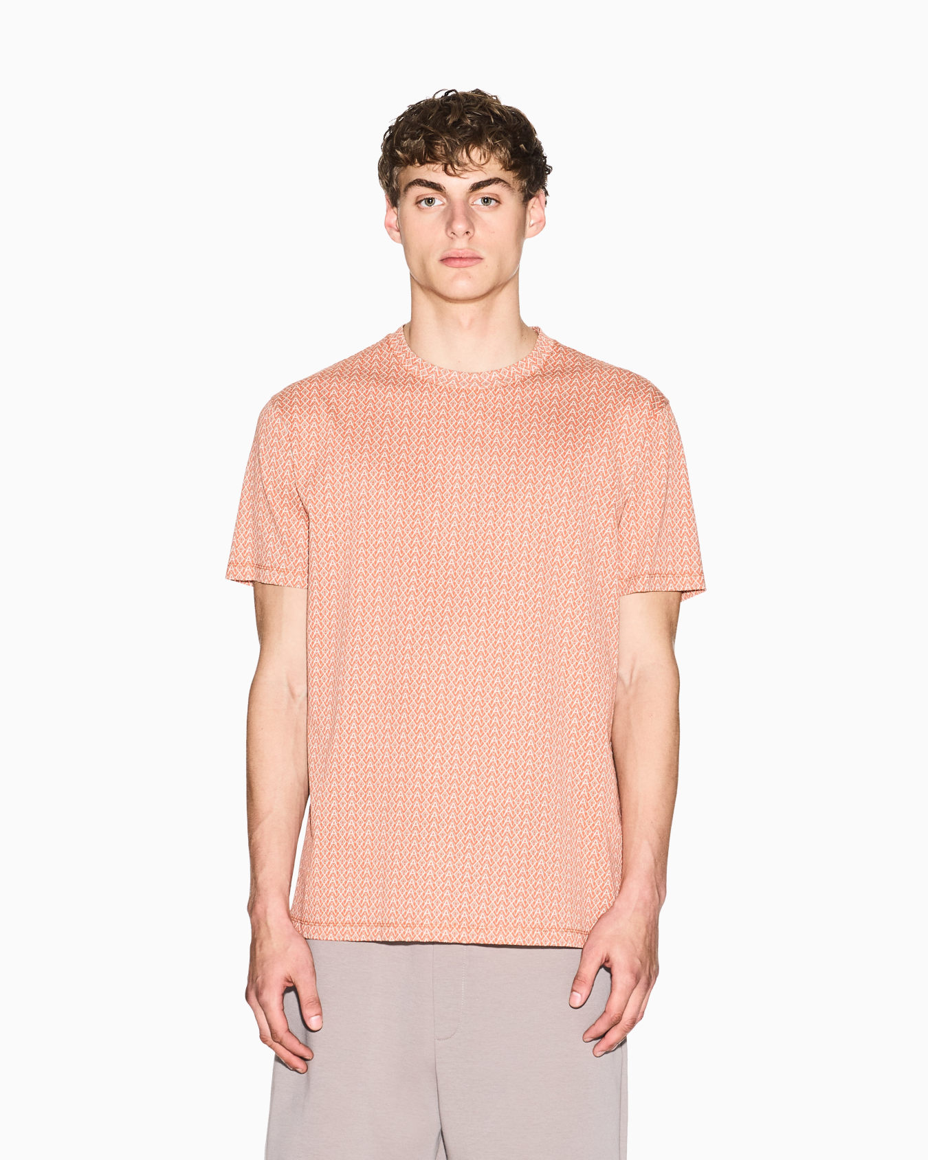 Regular fit cotton T-shirt Slide 3