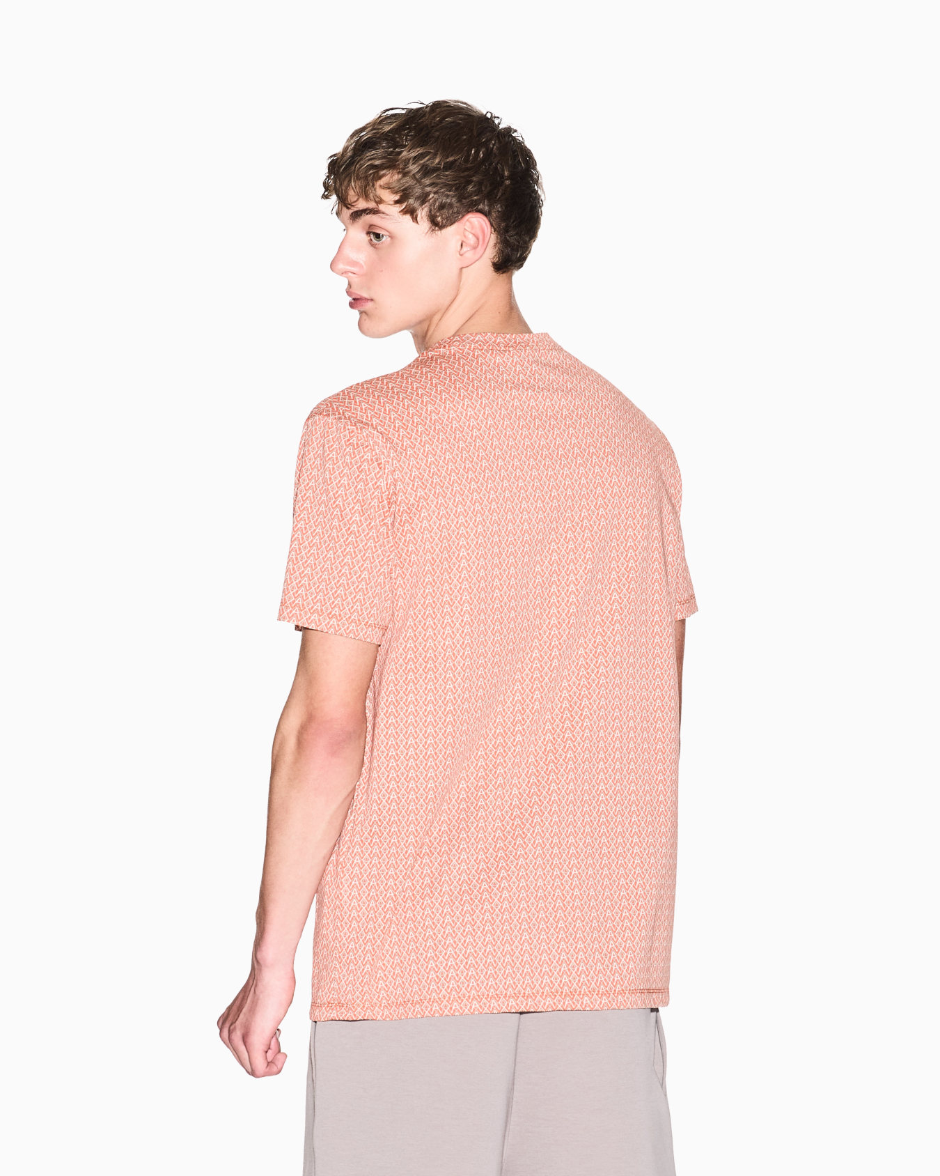 Regular fit cotton T-shirt Slide 2