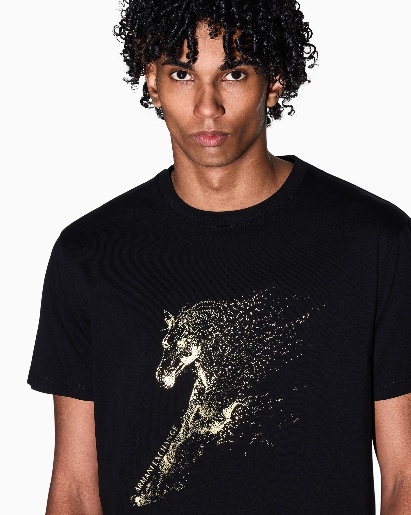 Regular fit cotton T-shirt Slide 4