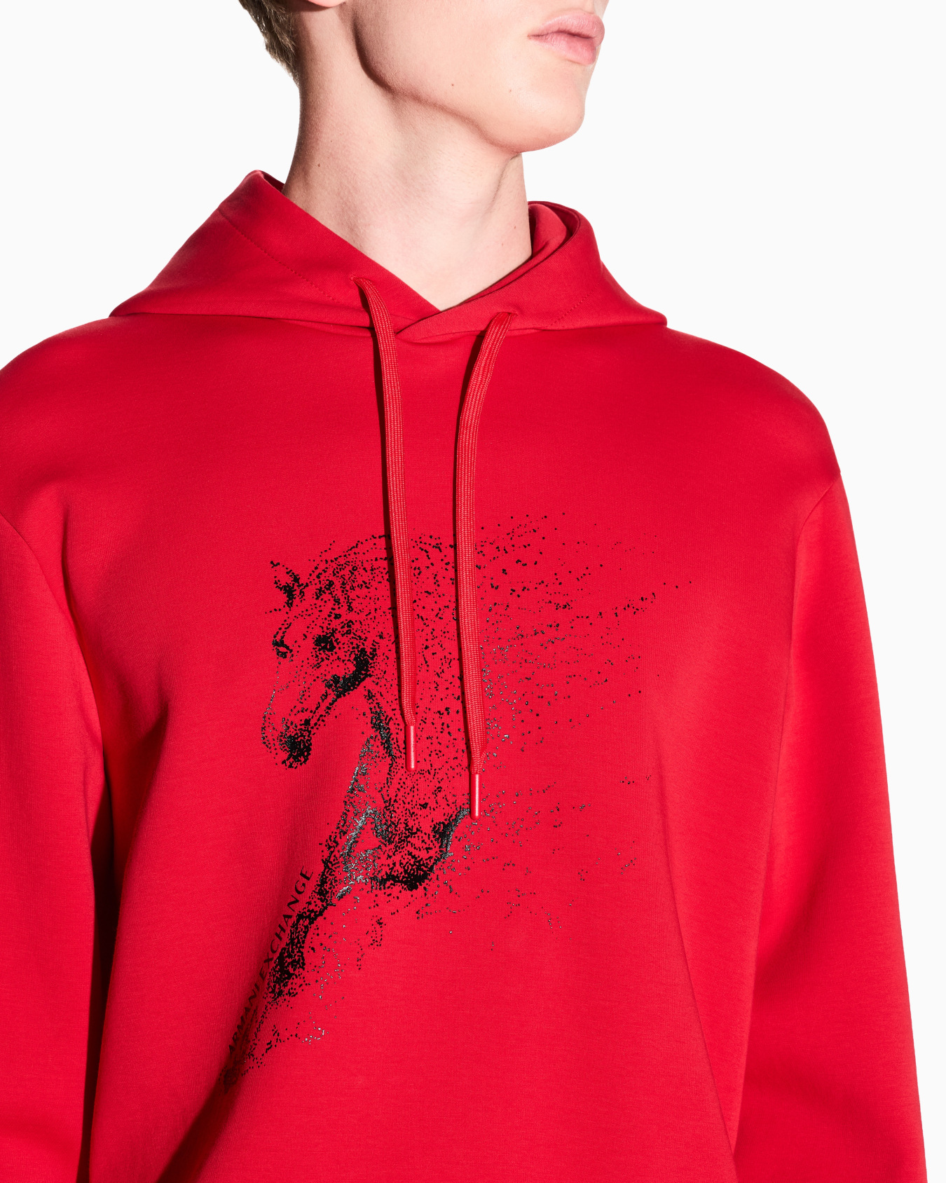 Cotton hoodie Slide 4