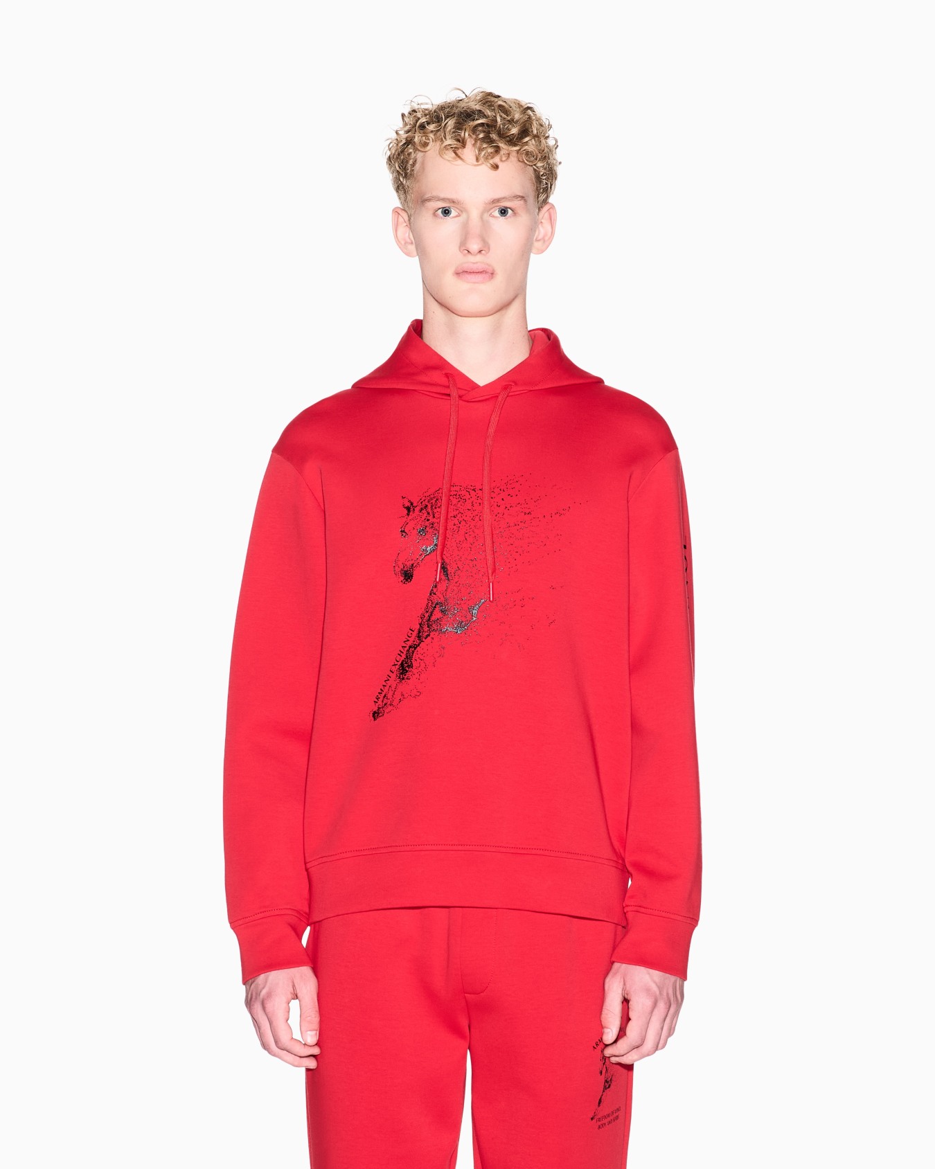 Cotton hoodie Slide 3