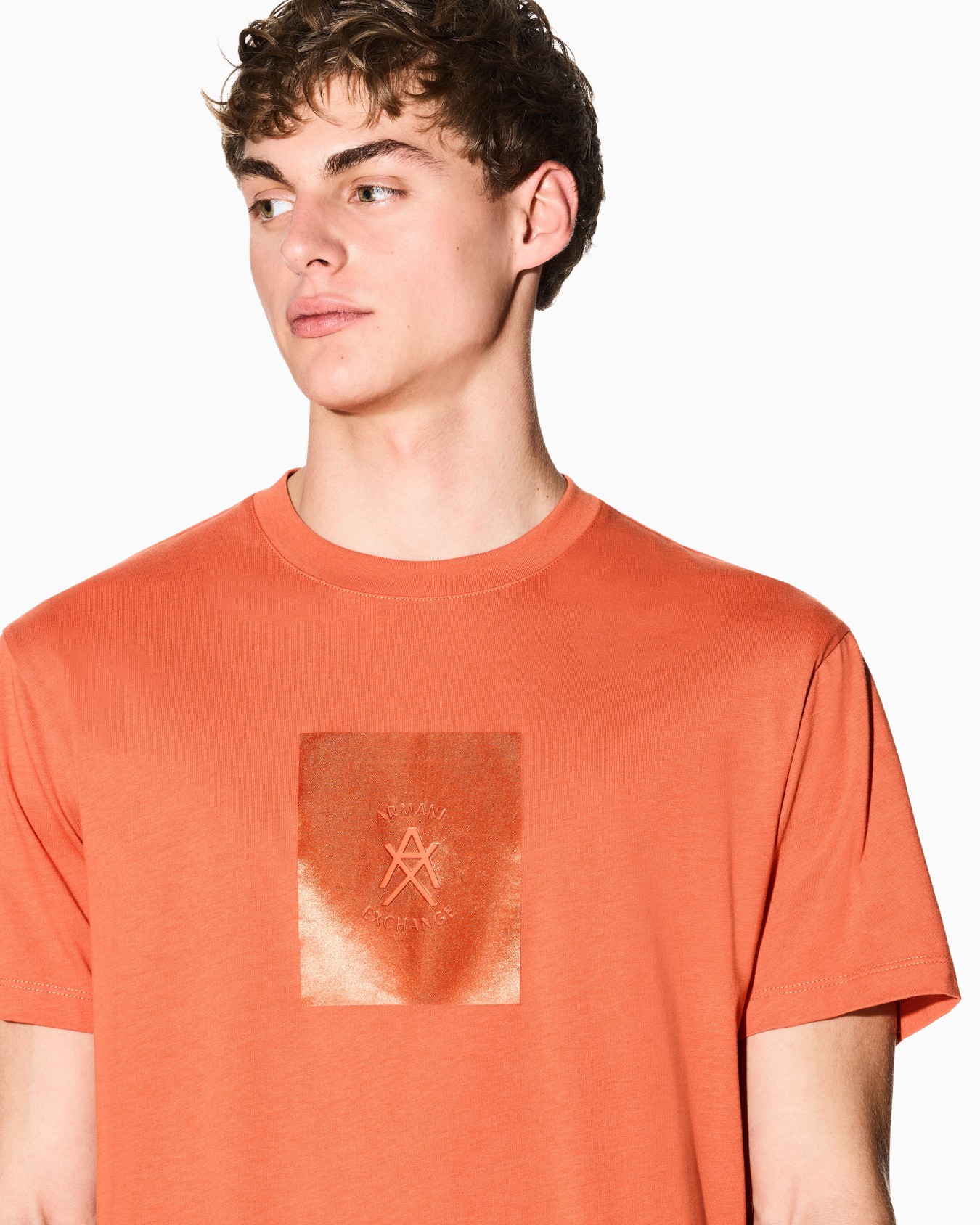 Regular fit cotton T-shirt Slide 4