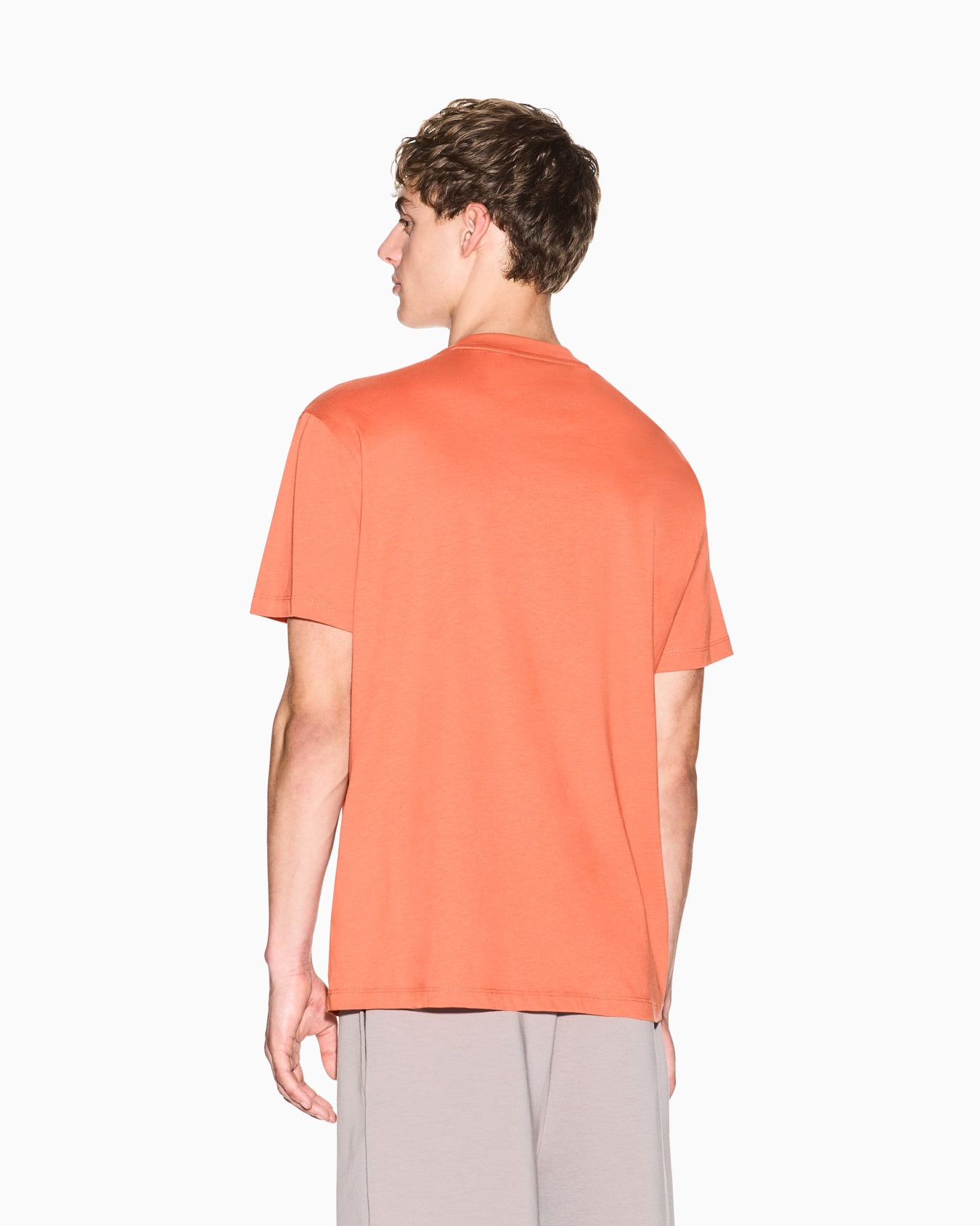 Regular fit cotton T-shirt Slide 2