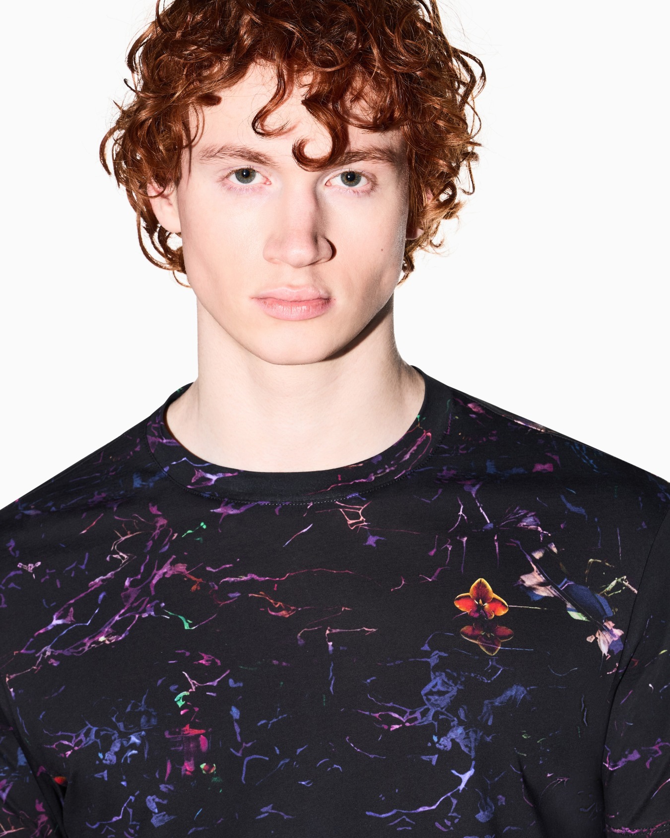  Regular Fit T-Shirt in Cotton Jersey Slide 4