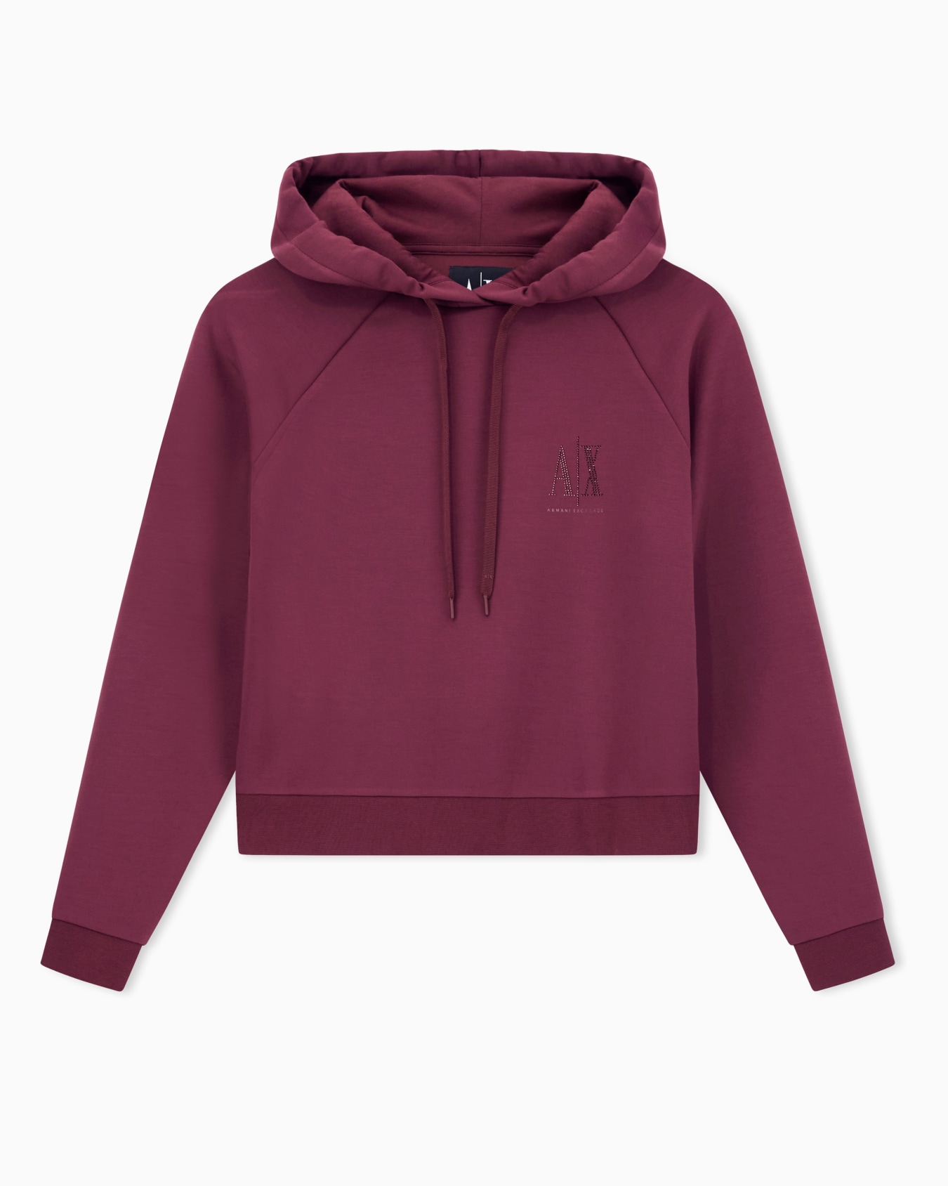 Sweat à capuche avec logo pailleté Diapositive 0