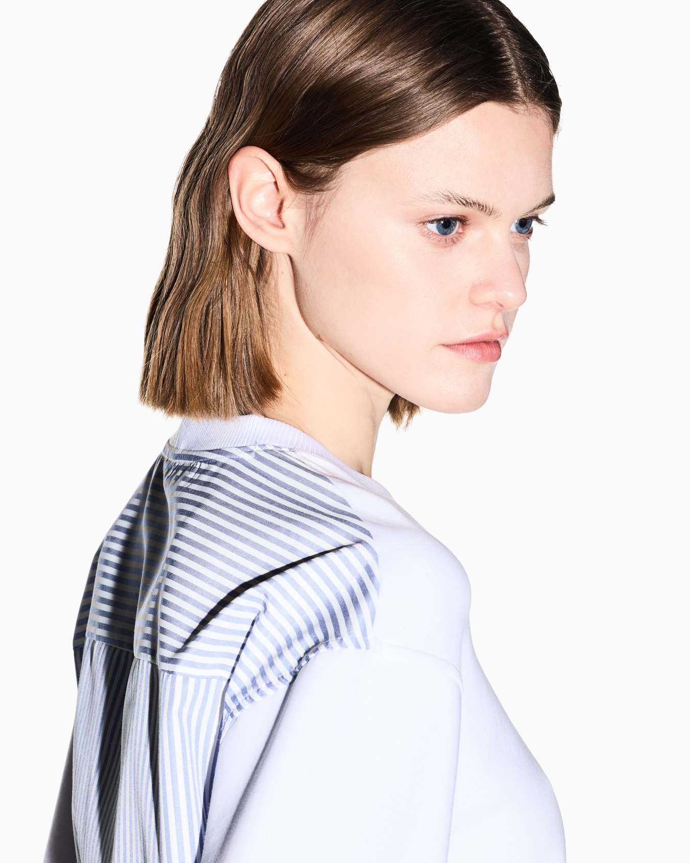 Crew neck sweatshirt with contrasting back Slide 5