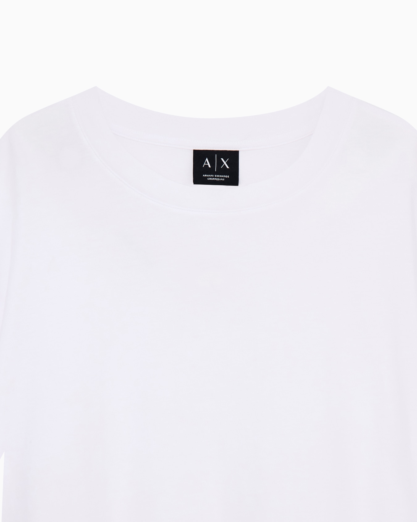 regular t-shirt in cotton jersey Slide 2