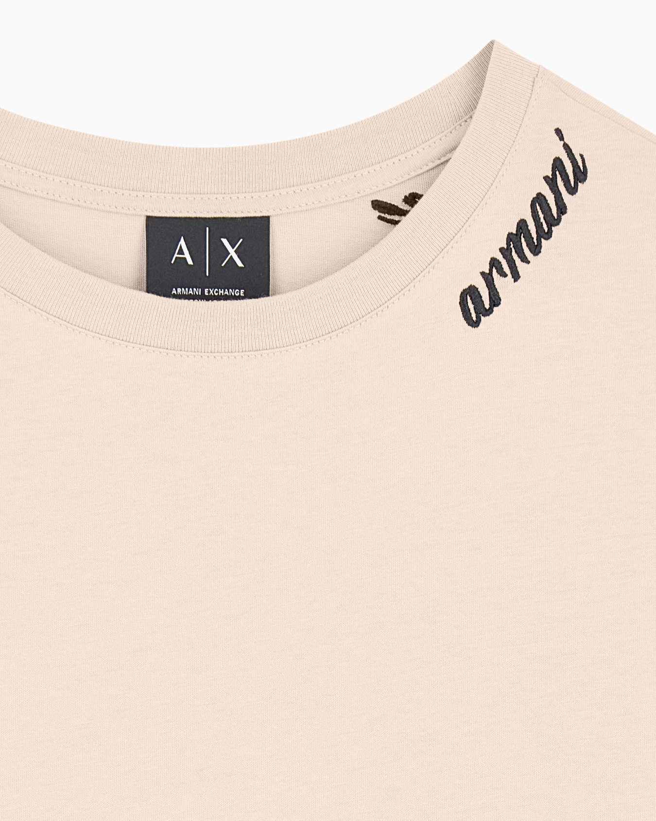 regular t-shirt in cotton jersey Slide 4