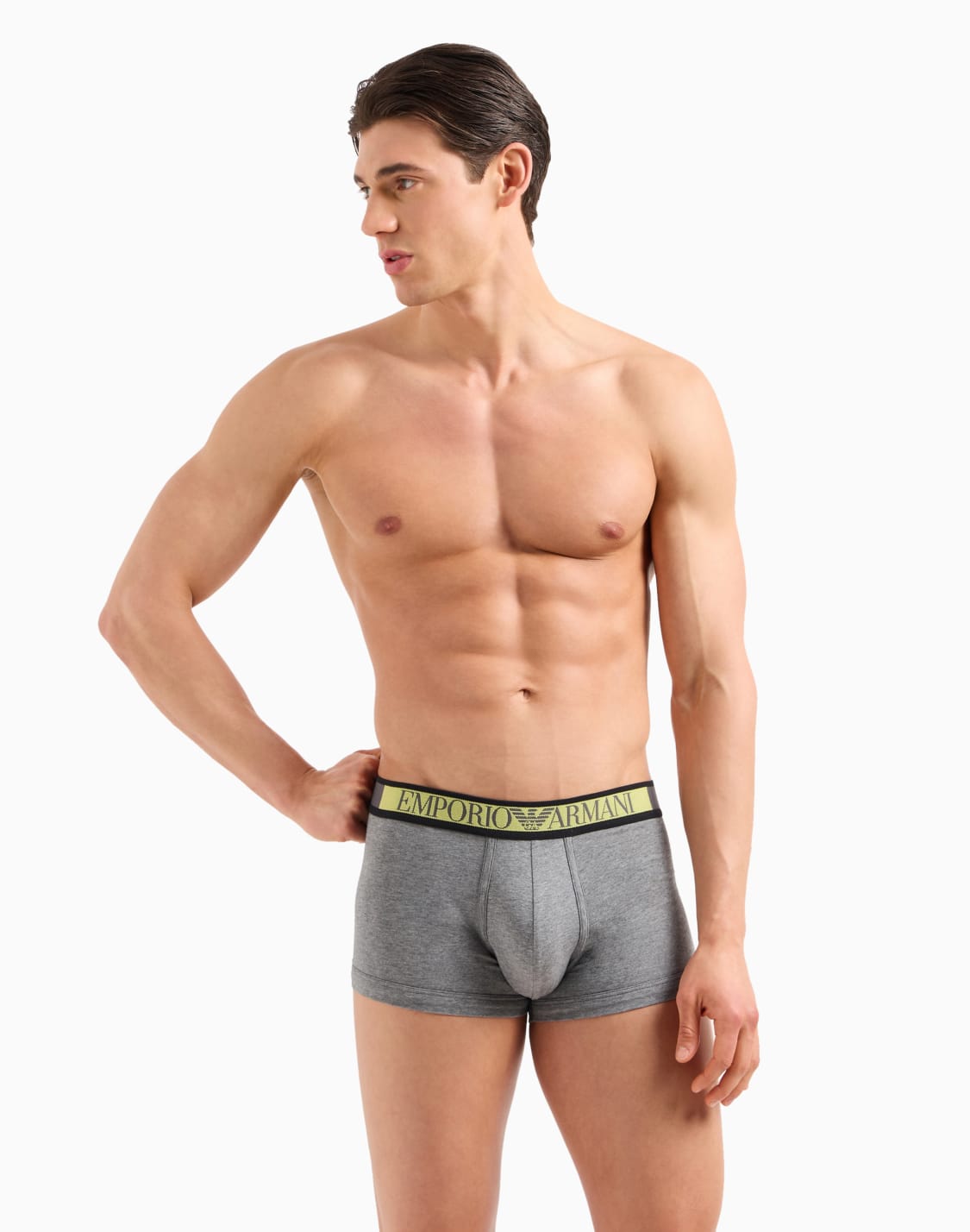 asv-logo-label-organic-cotton-boxer-briefs-grey--emporio-armani