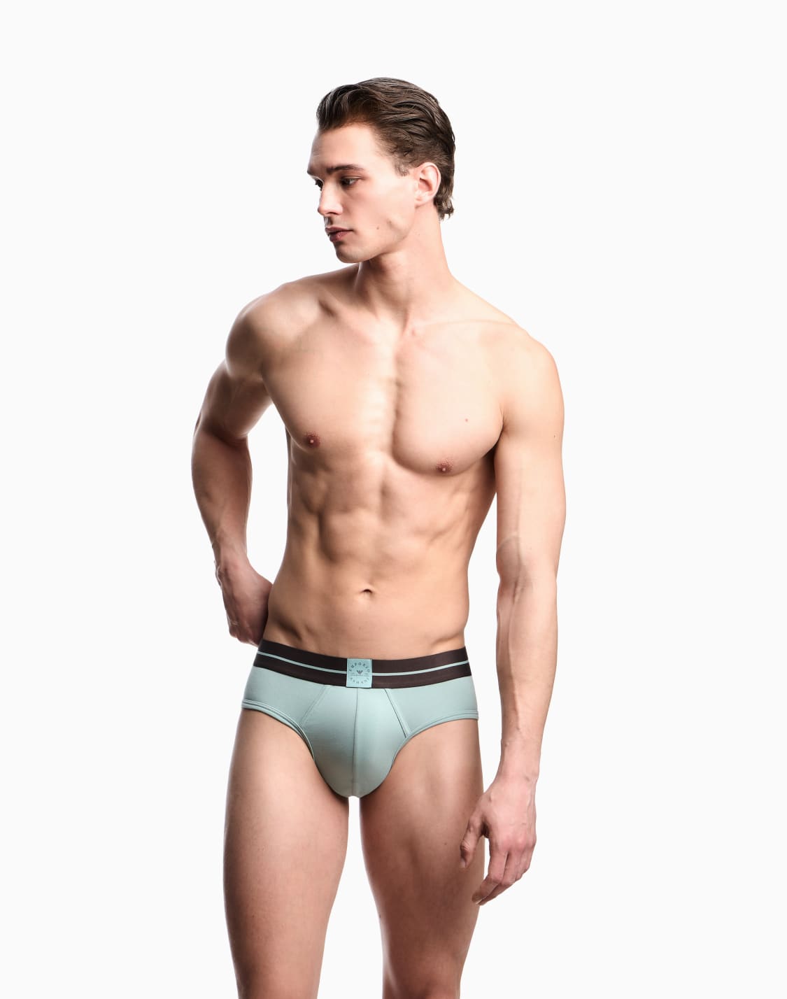 two-pack-of-asv-logo-label-organic-jersey-briefs-brown--emporio-armani