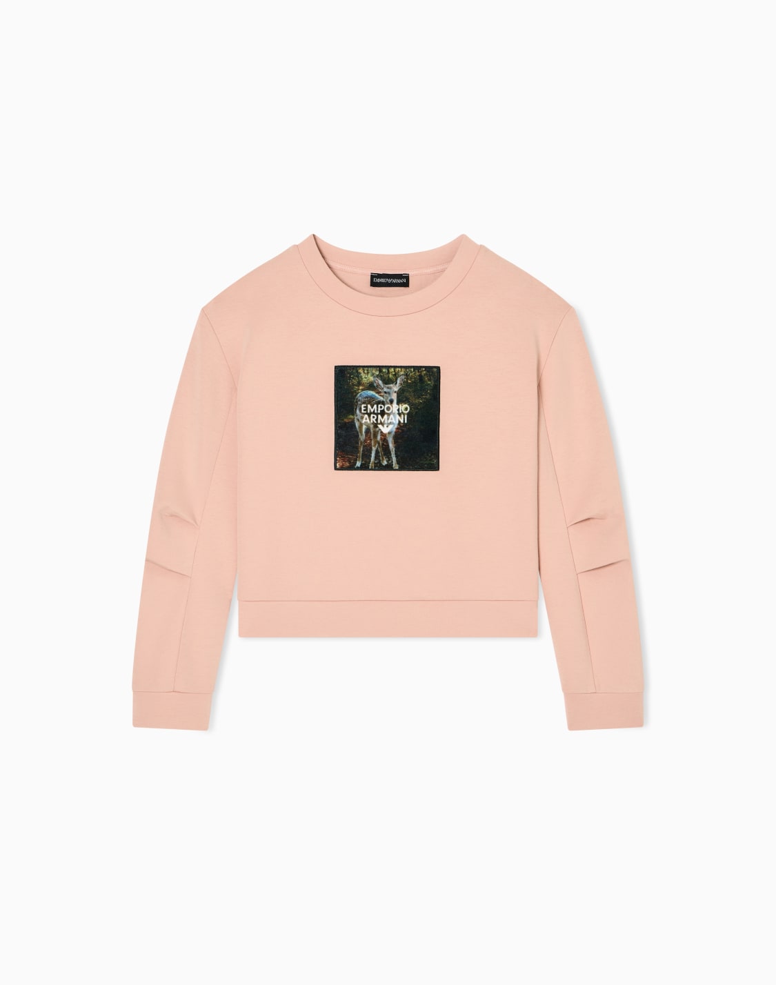 スウェットシャツ-ダブルジャジ-ウィンタクラウドプリント-ピンク--emporio-armani