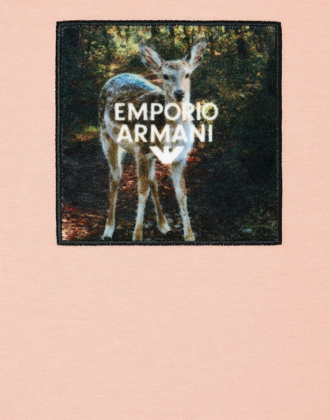 スウェットシャツ-ダブルジャジ-ウィンタクラウドプリント-ピンク--emporio-armani