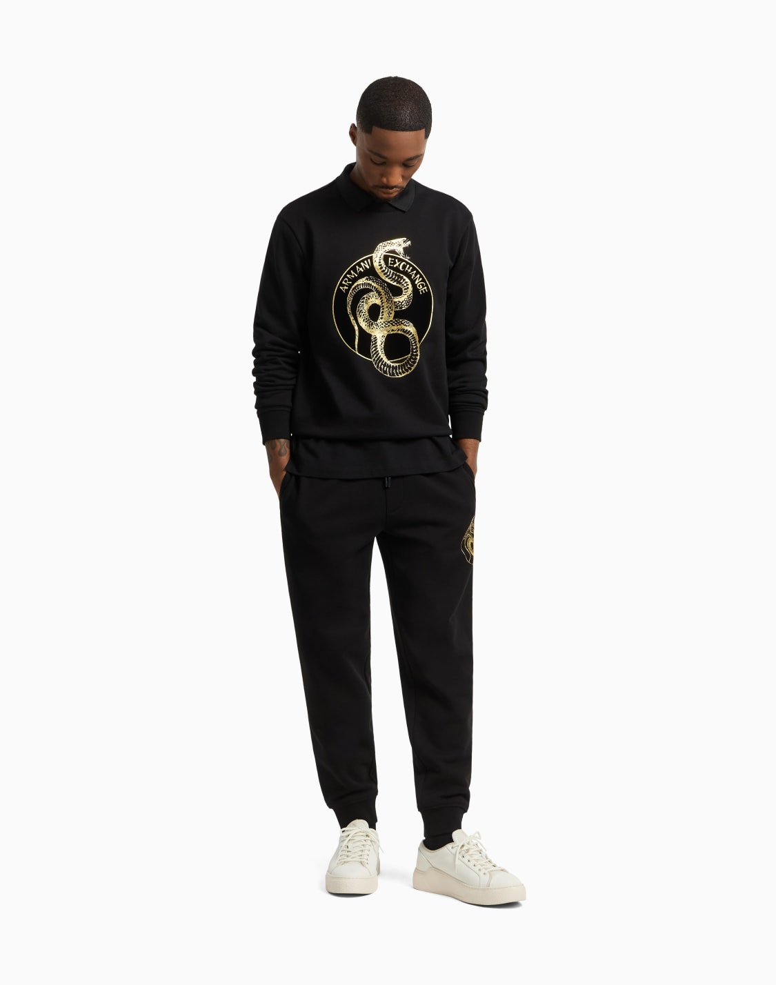 regular-fit-polo-shirt-in-cotton-black--armani-exchange