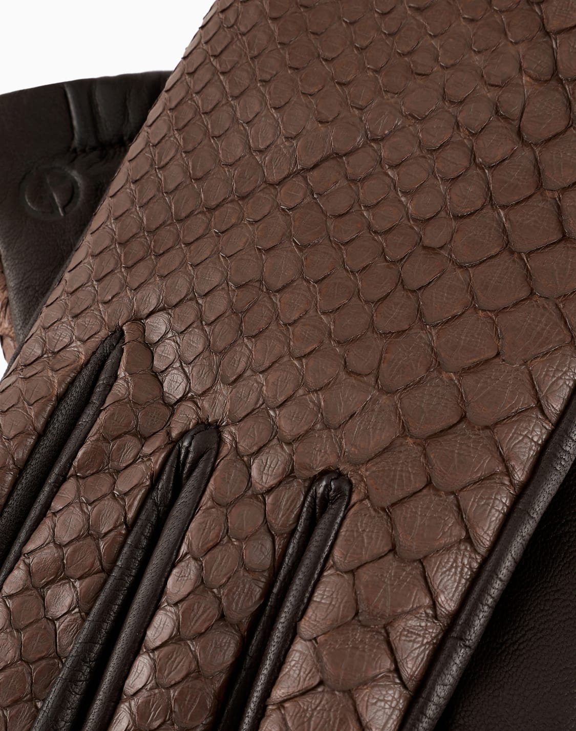 python-and-nappa-leather-gloves-brown--giorgio-armani