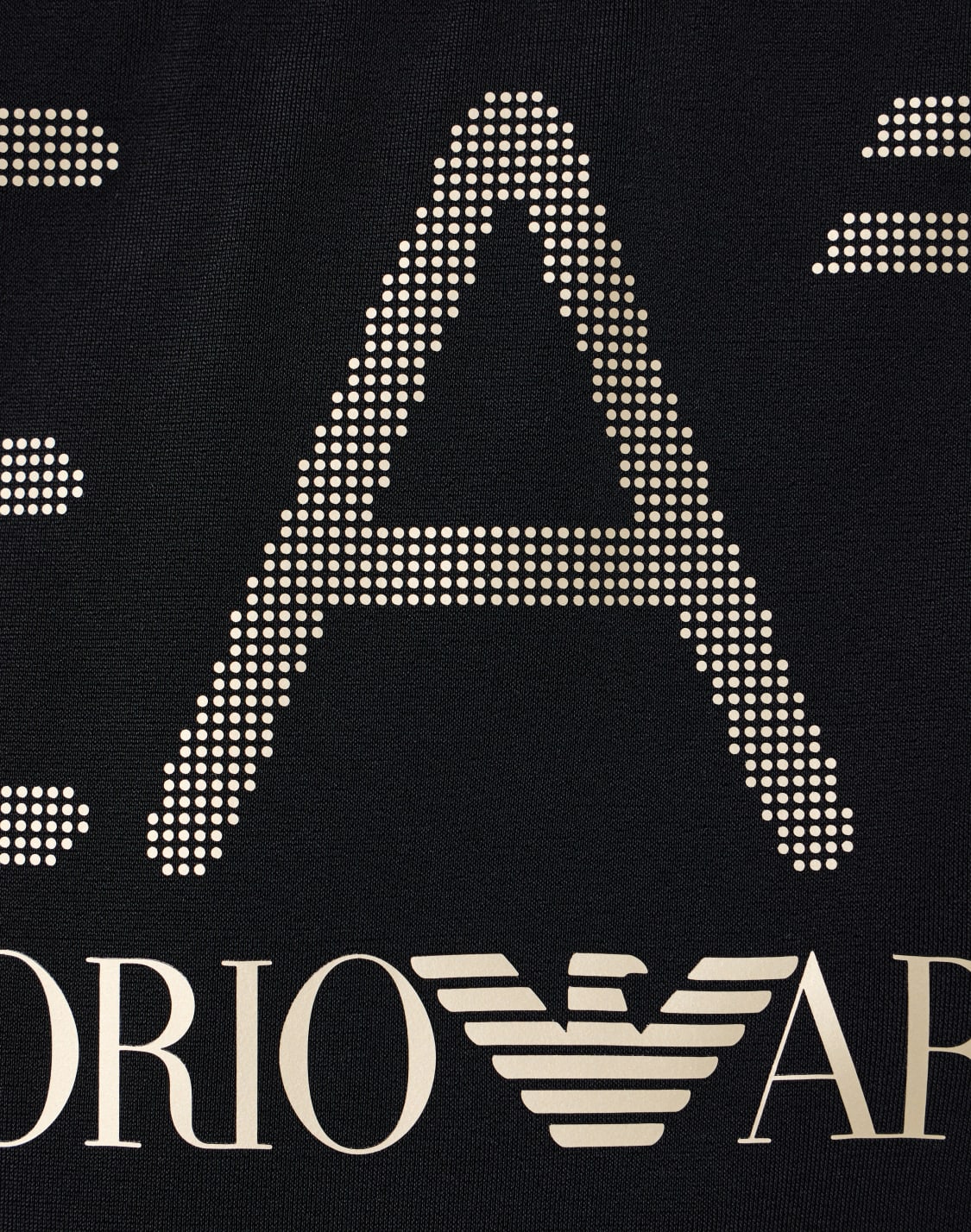 asv-logo-series-boy-swim-briefs-black--ea7