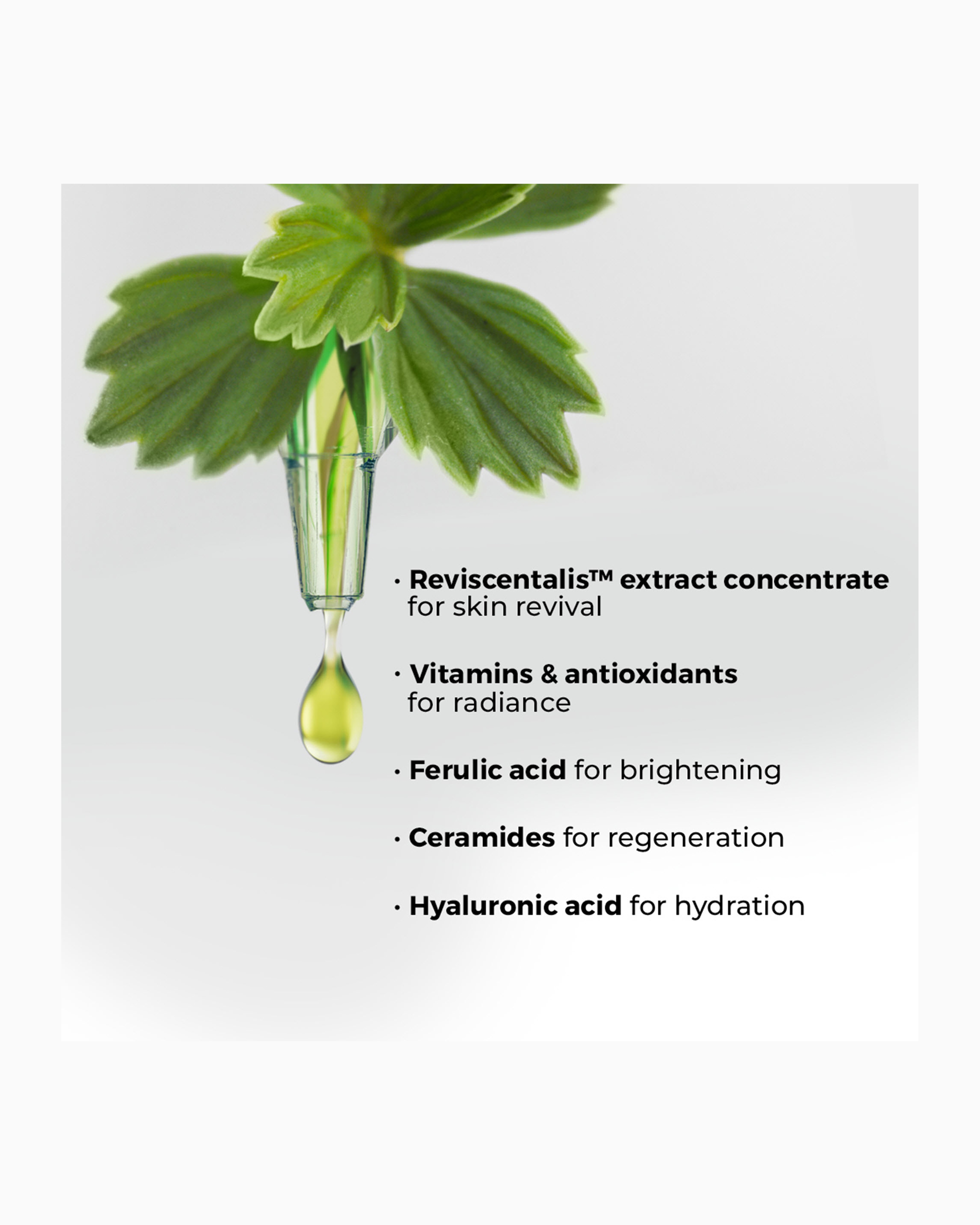 【未使用】アルマーニビューティ　クレマ ネラ RV コンセントレート30㎖ 楽天市場】【公式】クレマ ネラ RV コンセントレート 150 ml