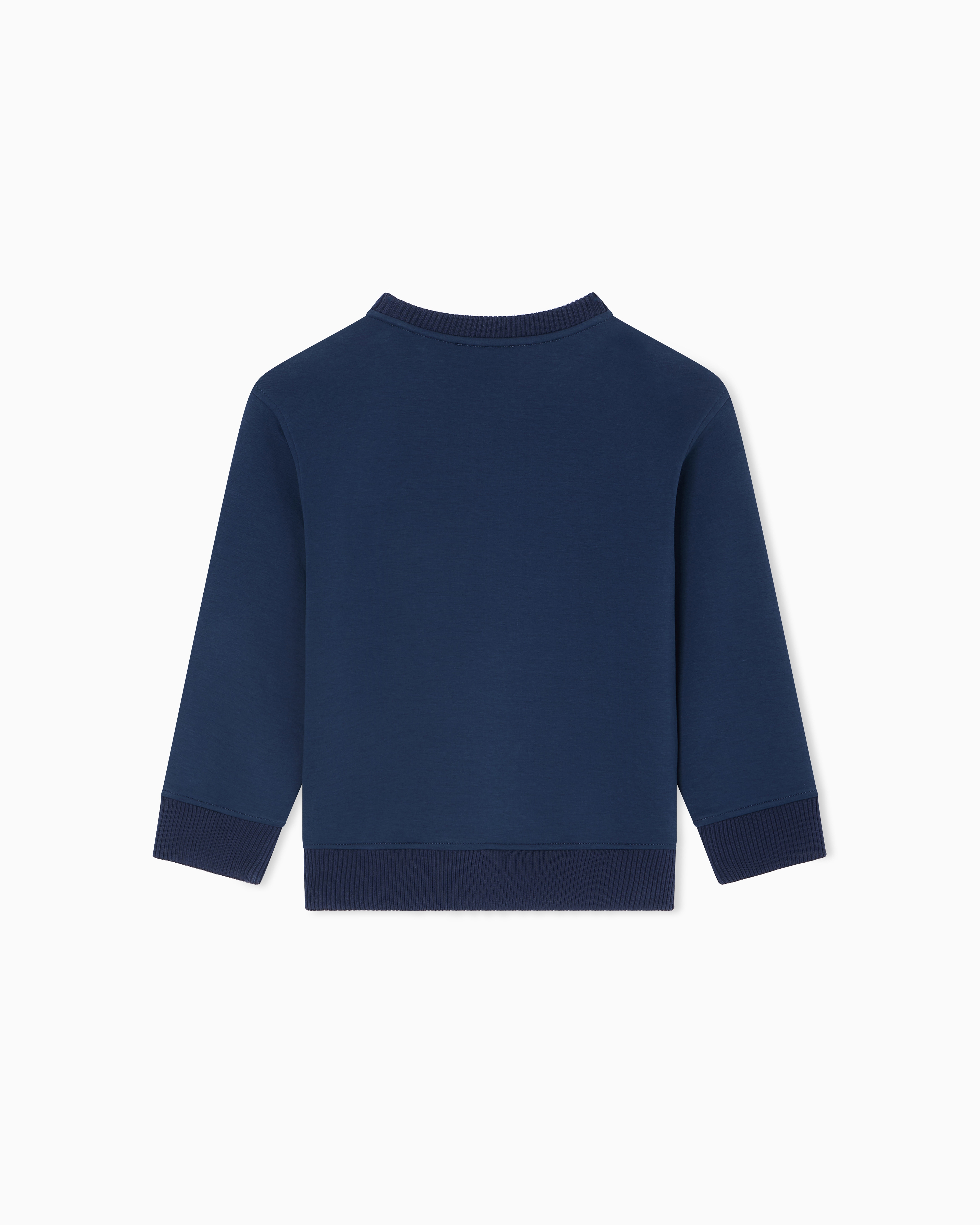 【AP STUDIO】U.S. NAVY プリント スウェット ブルー 80's ARTEX ''NAVY ANNAPOLIS'' 3段プリント スウェット 表記(XL
