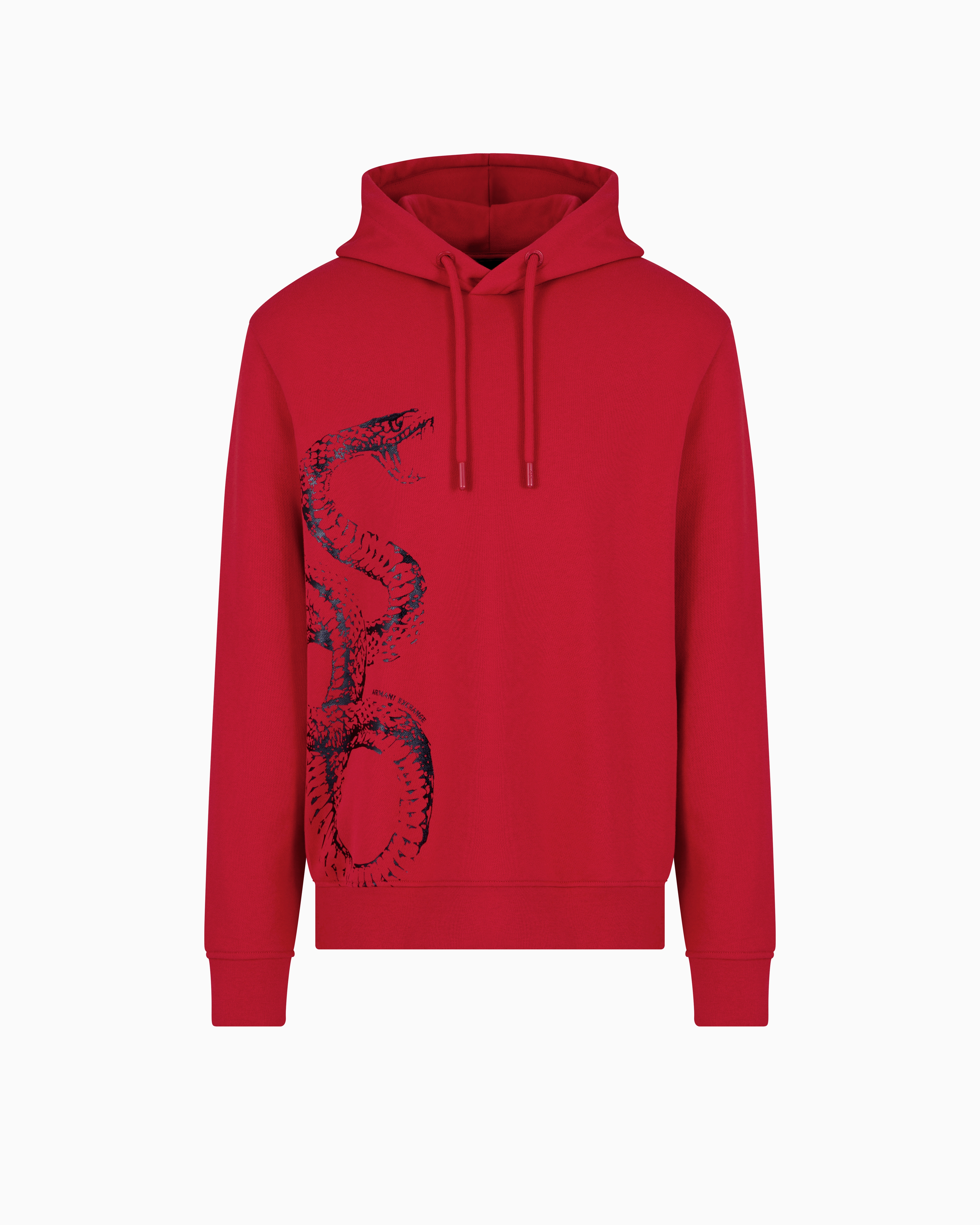 Hoodie with maxi print