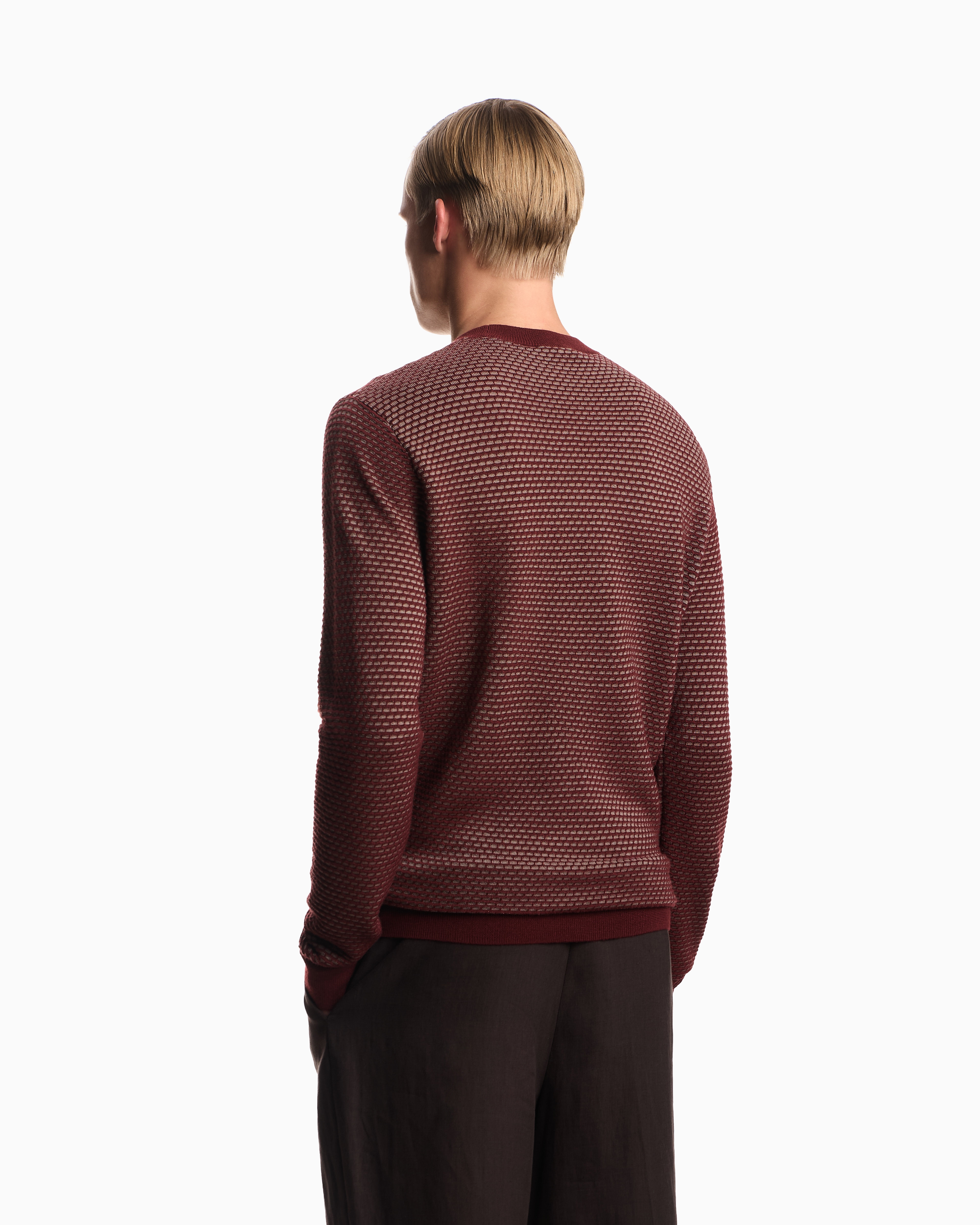 Emporio Armani Geo Jacquard Virgin Wool Blend Crewneck Sweater In Animal Print