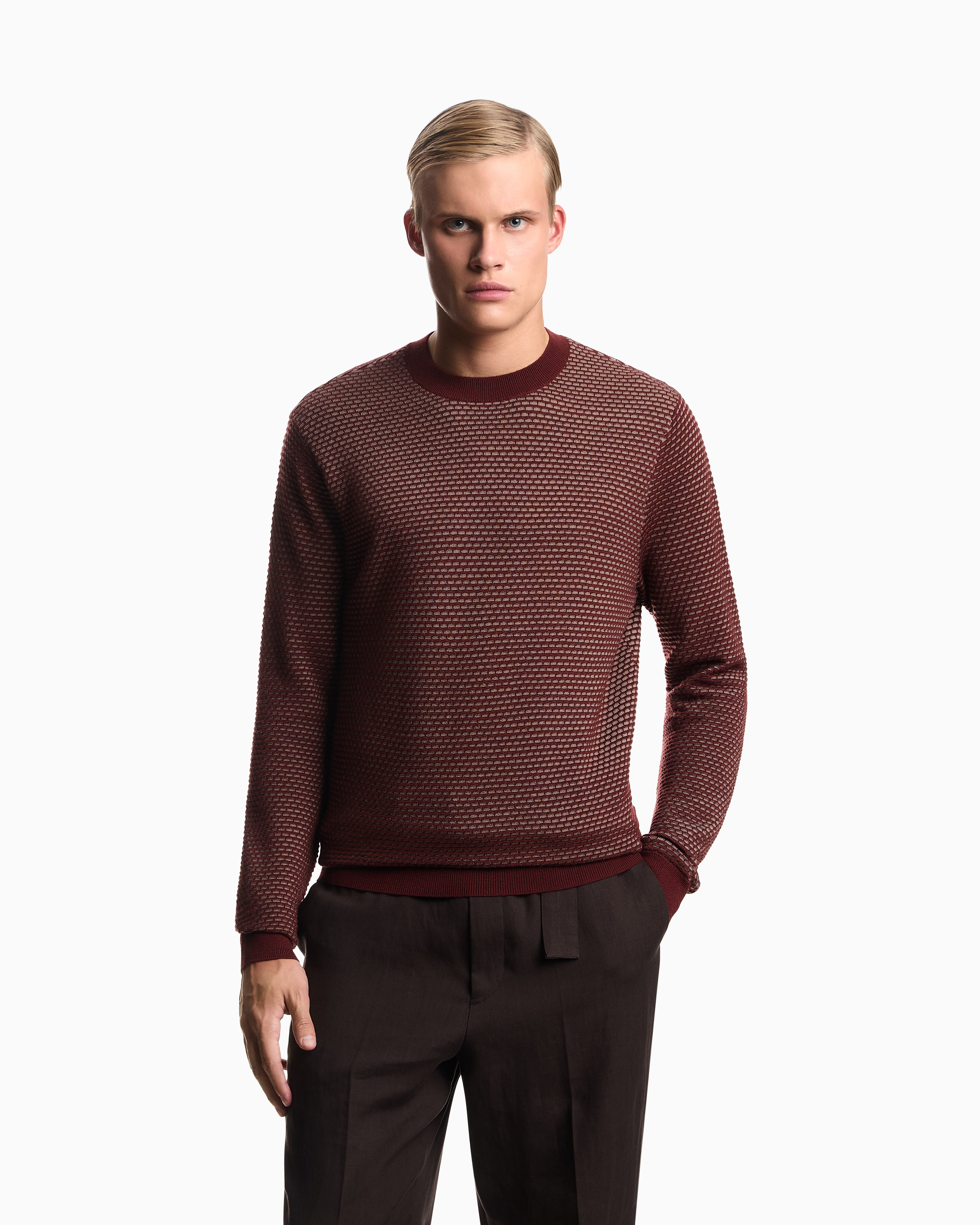 Emporio Armani Geo Jacquard Virgin Wool Blend Crewneck Sweater In Animal Print