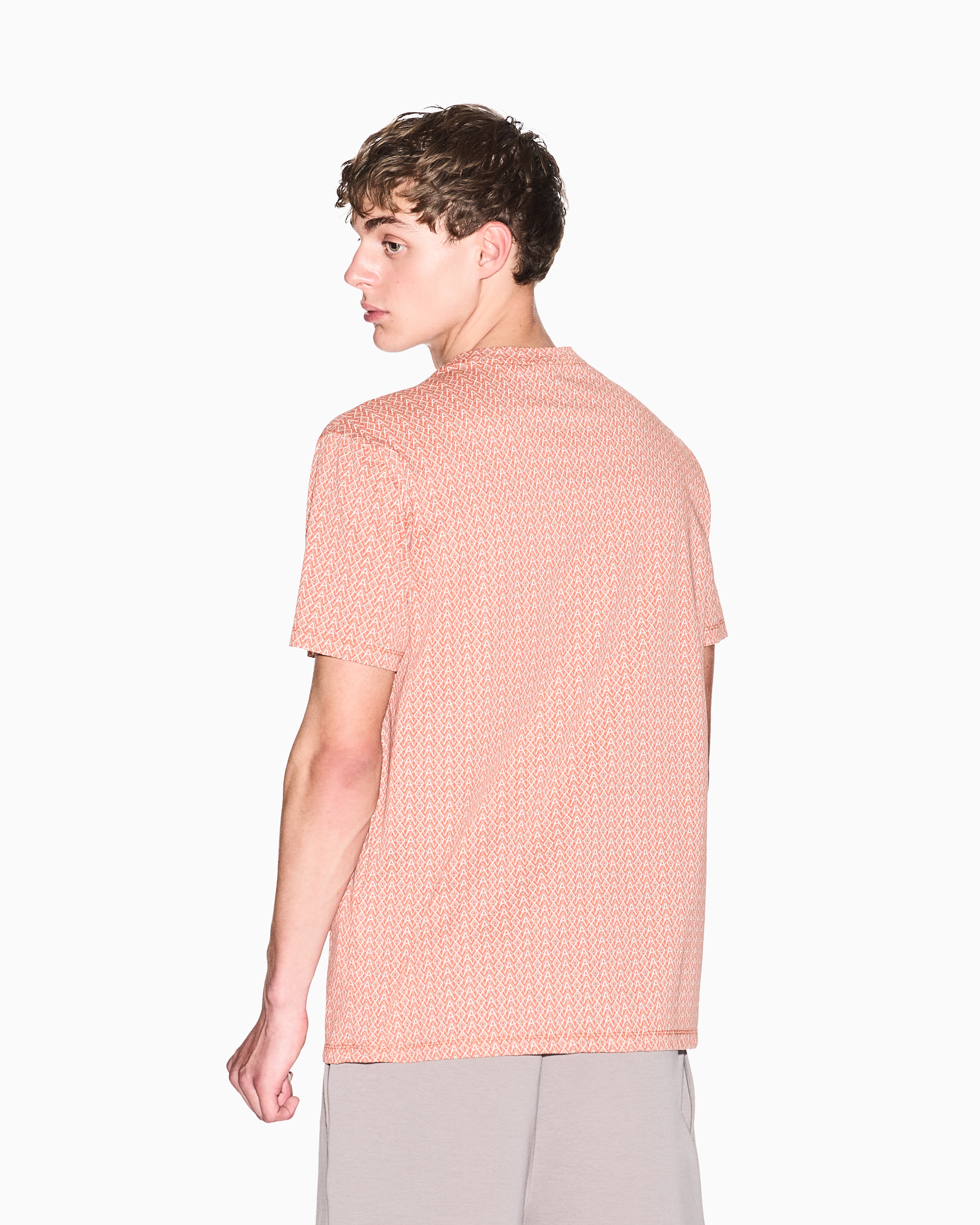 Regular fit cotton T-shirt