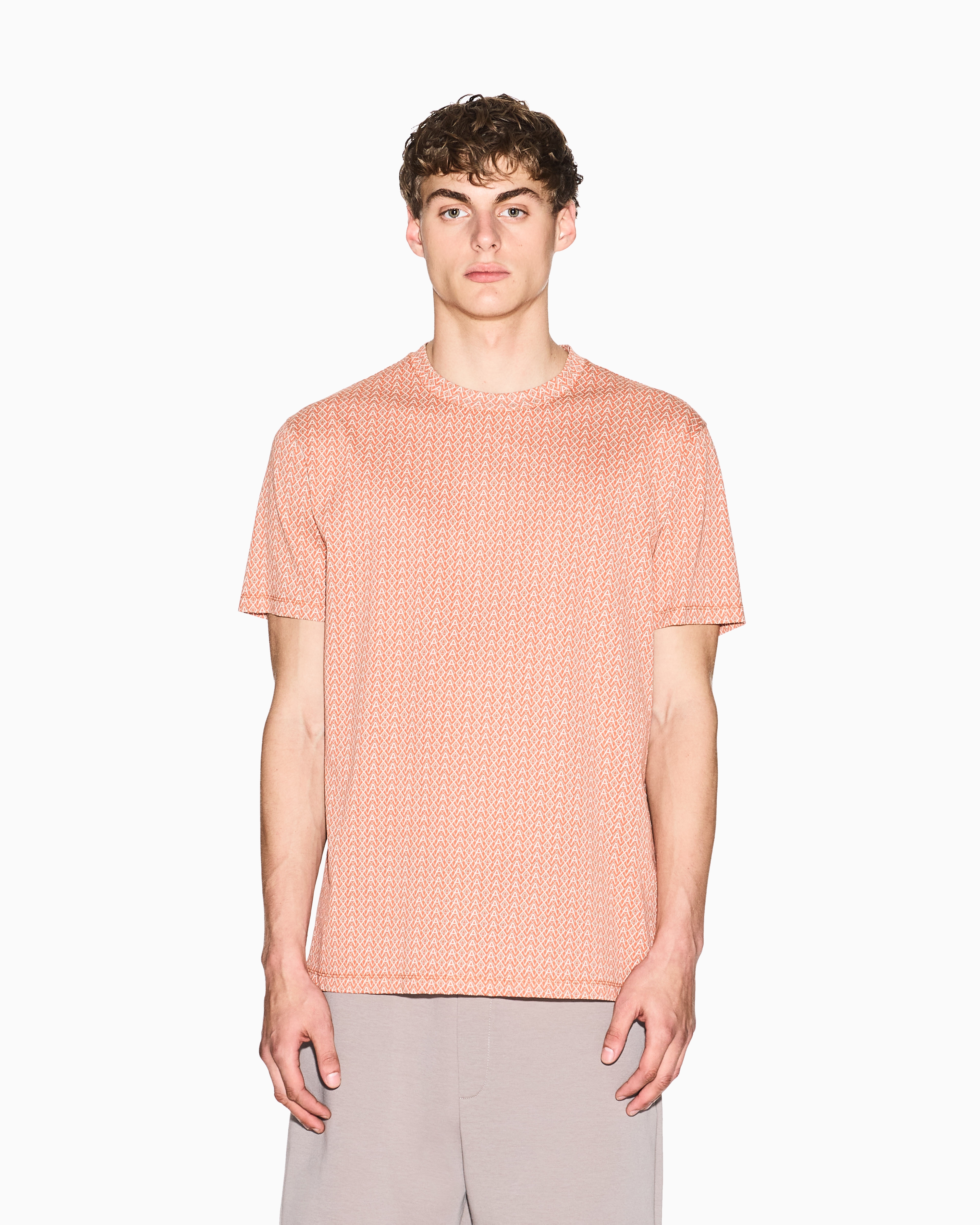 Regular fit cotton T-shirt