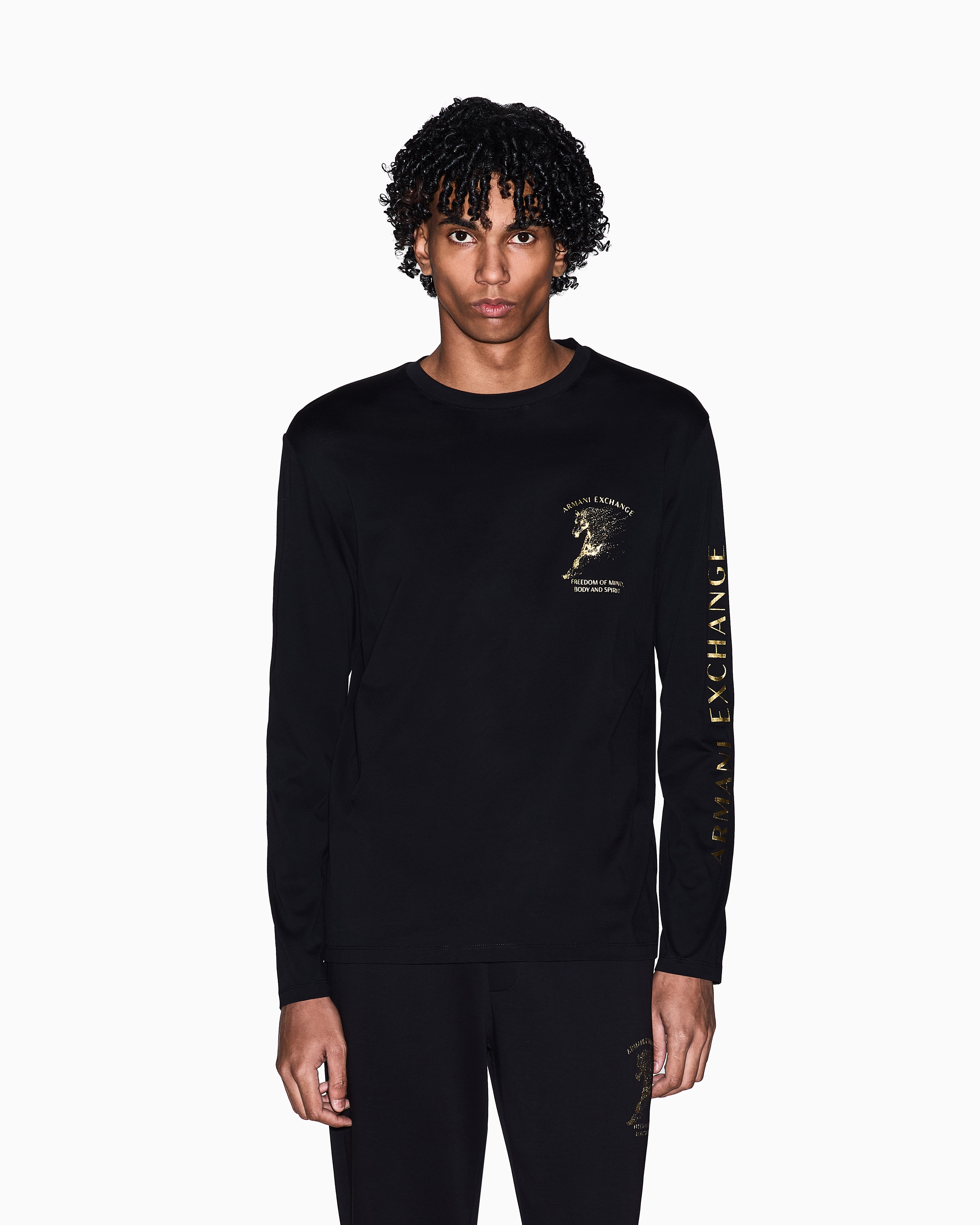 Long-Sleeved Mercerized Cotton Jersey T-Shirt with Dragon | Armani